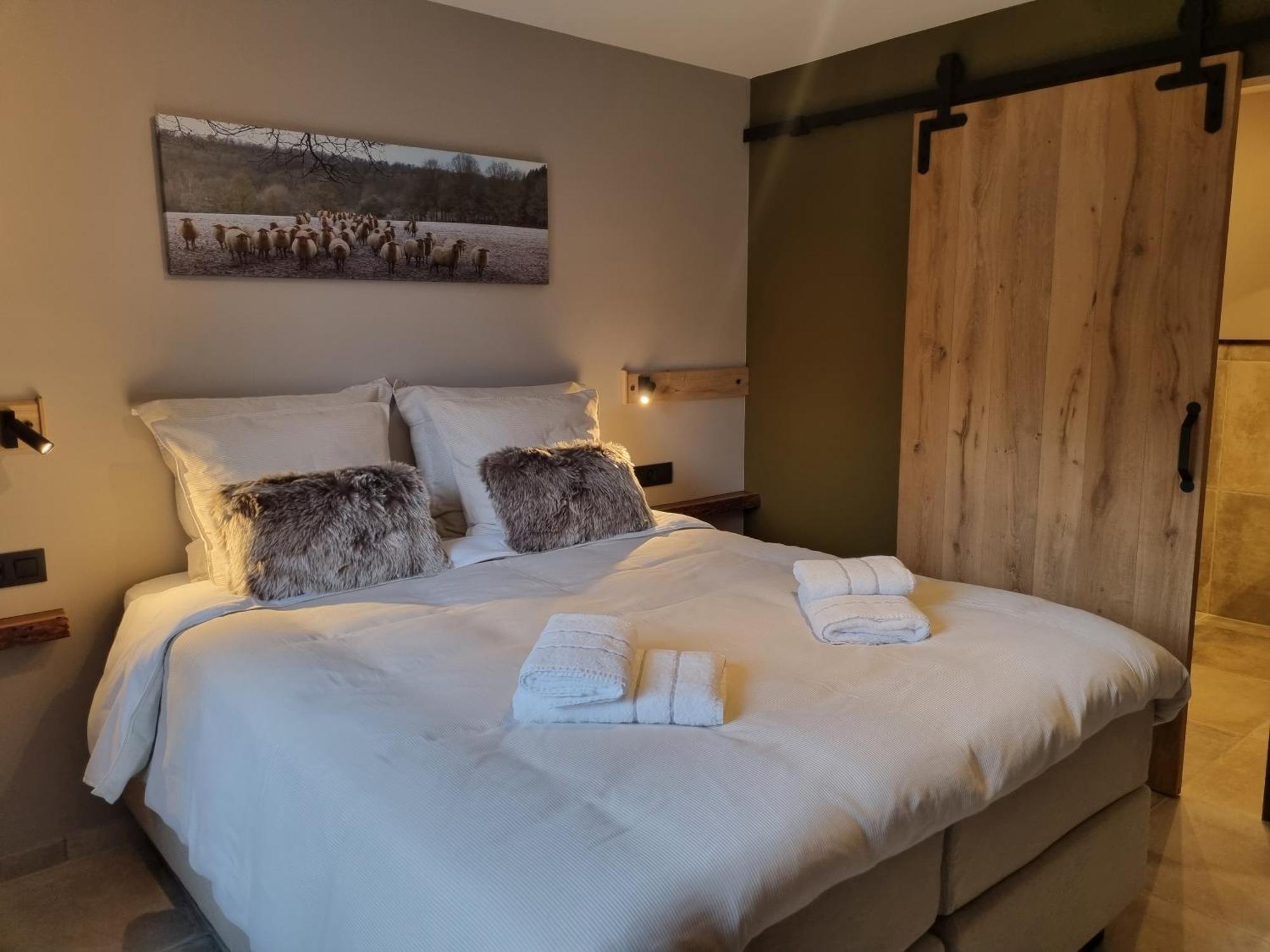 Kamer met Queensize Bed