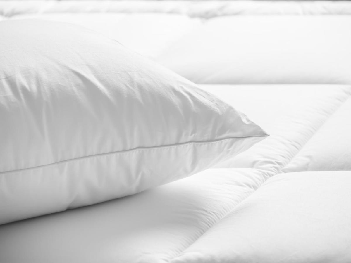 Estúdio com Cama Queen-size e Sofá-cama