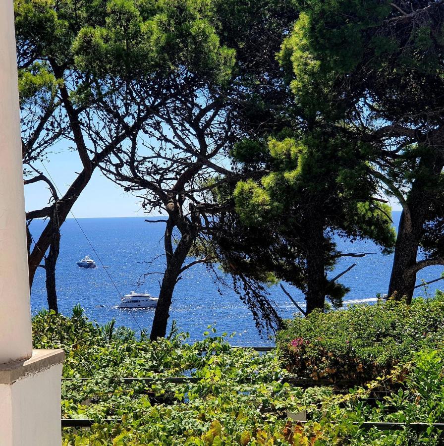Camera Superior Matrimoniale/Doppia con Letti Singoli con Vista Mare