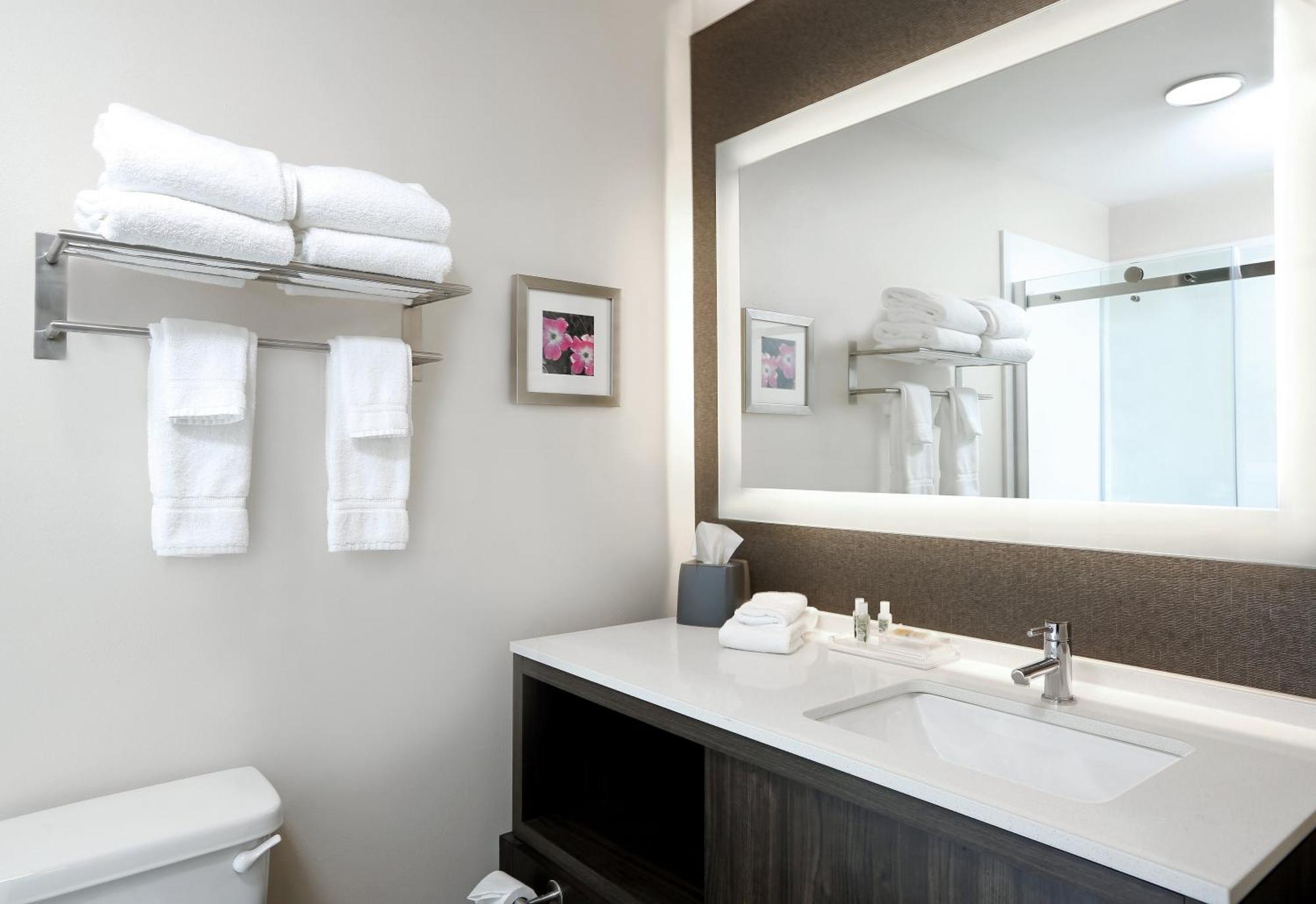 King Suite with Sofa Bed