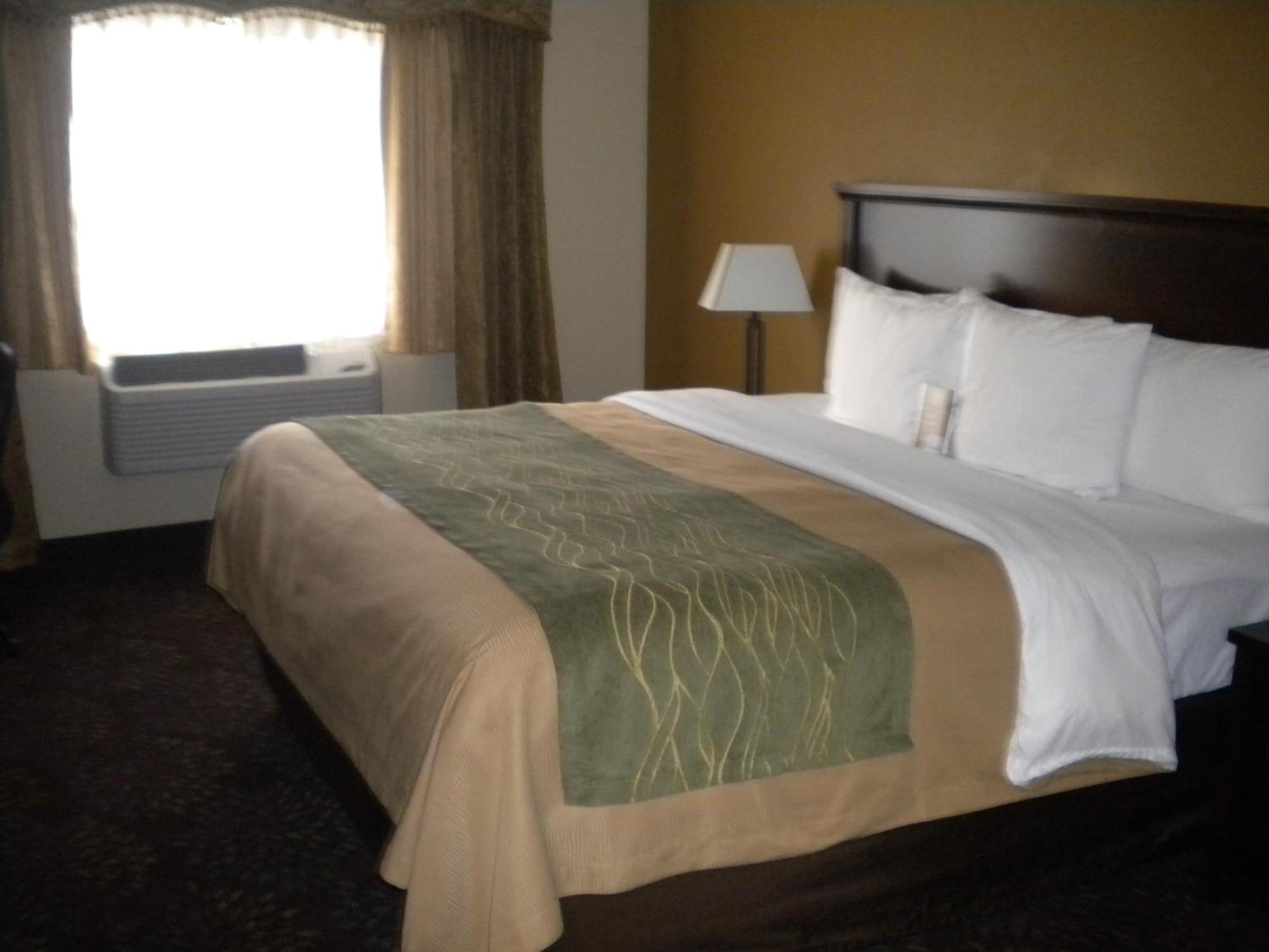 King Room Pet Friendly,1588583971:JPEG