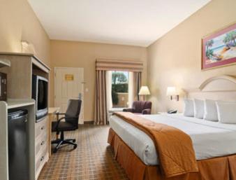Deluxe King Studio Suite - Non-Smoking