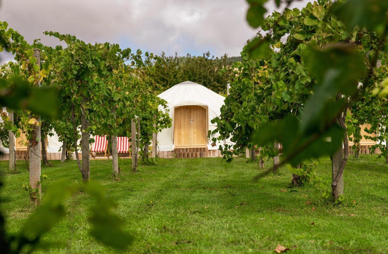 Yurta de lujo