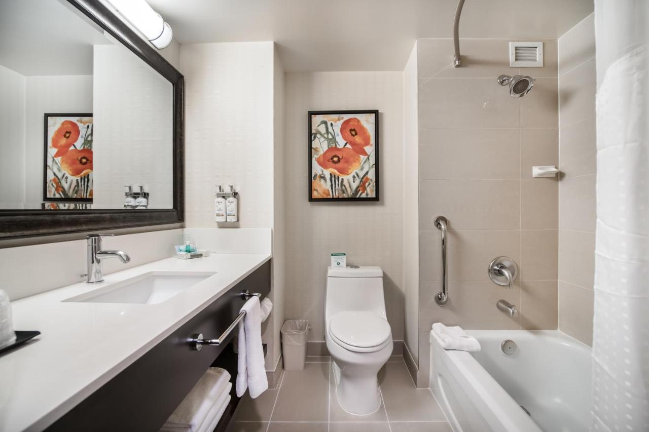 Habitación Premium con cama extragrande y sofá cama