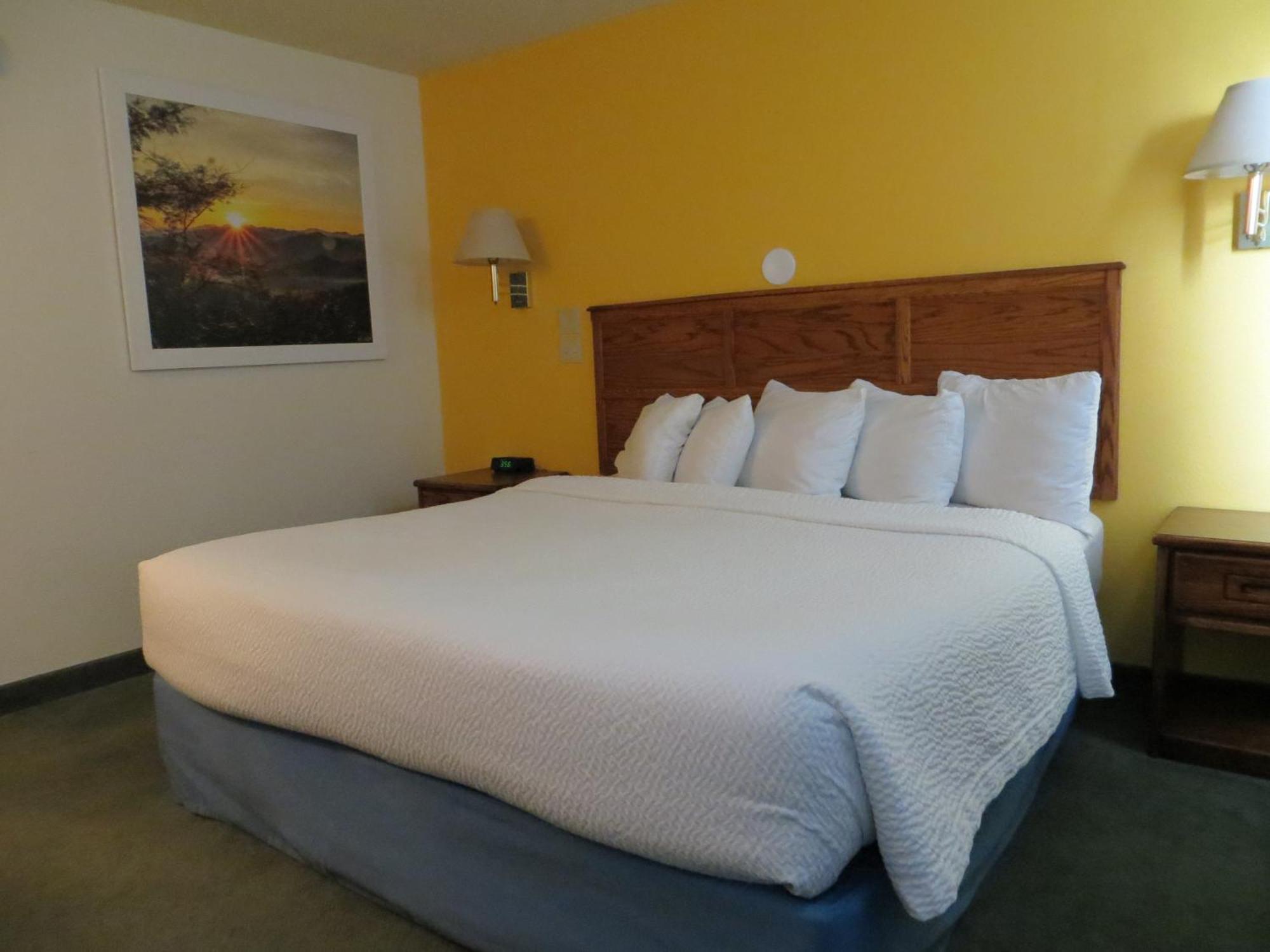1 King Bed, Mobility/Hearing Accessible Room, Roll-In Shower