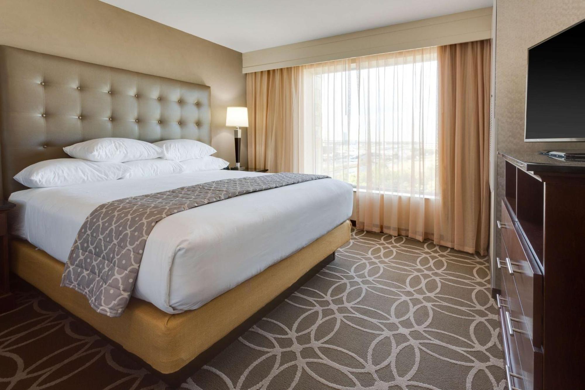 King Suite with Sofa Bed