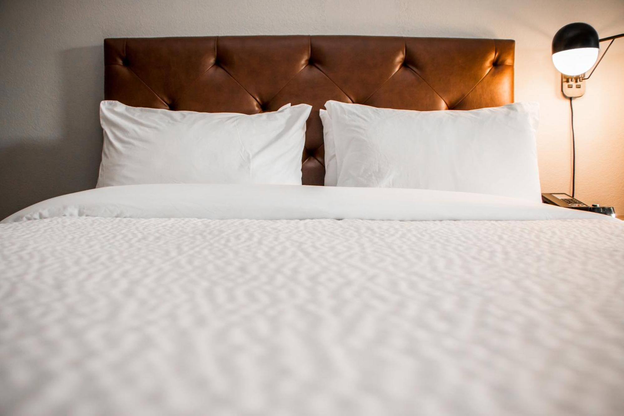 King Room with Sofa Bed - Hearing Accessible