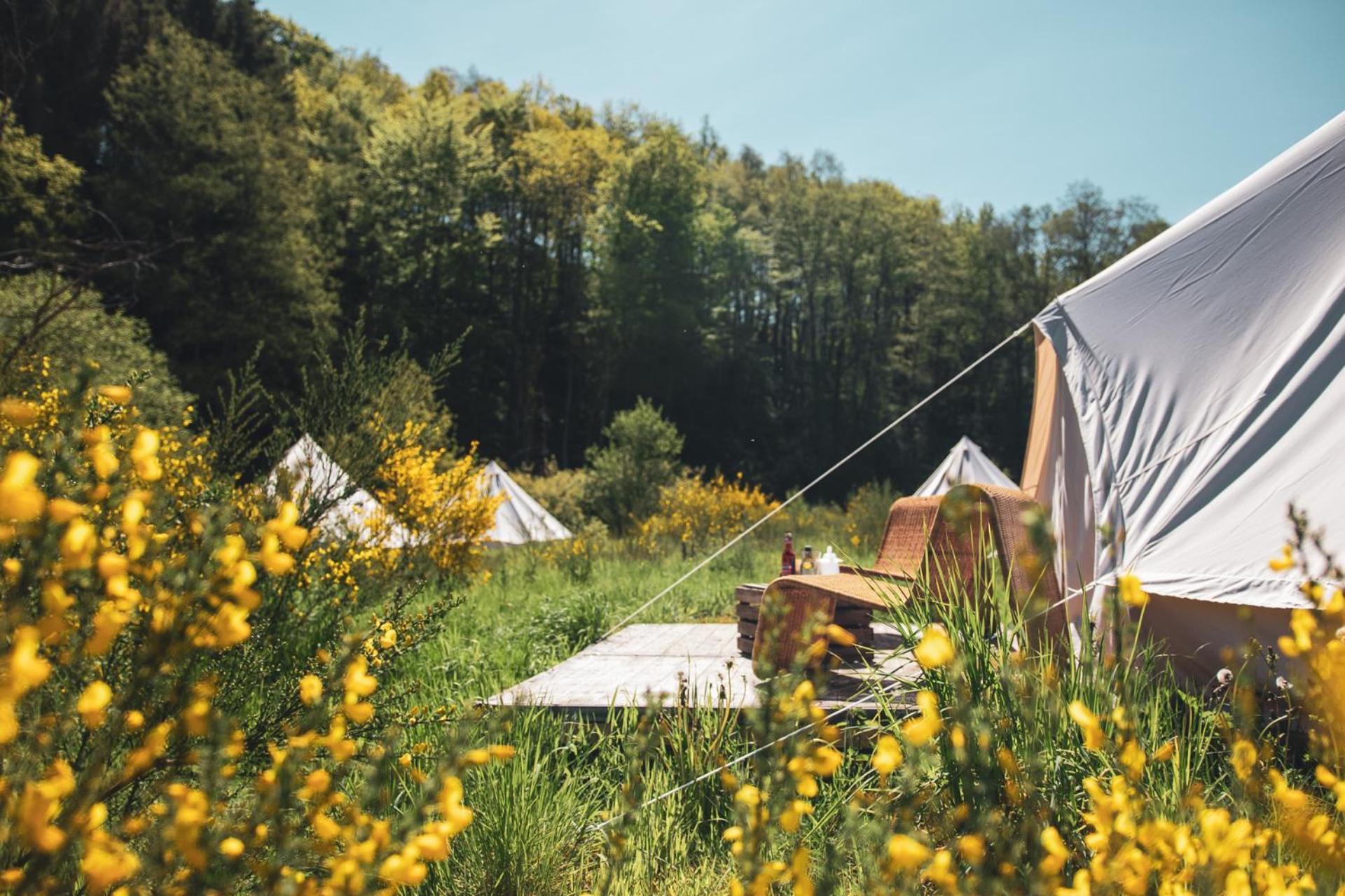 Glamping tent