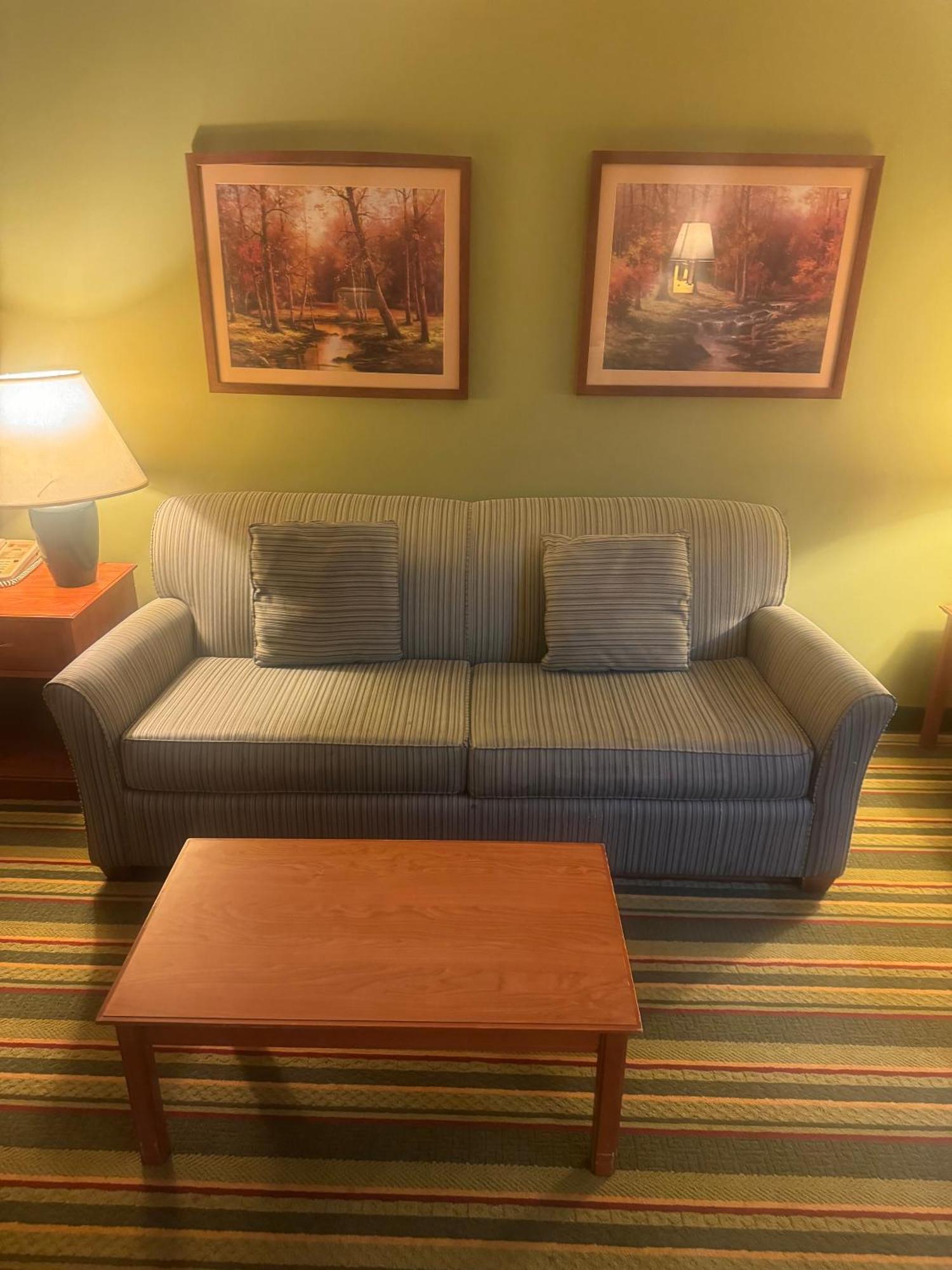 King Room - Pet Friendly/Non-Smoking