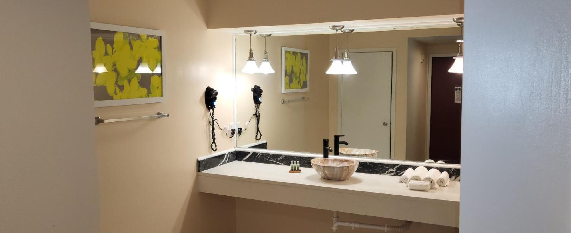 Deluxe King Suite