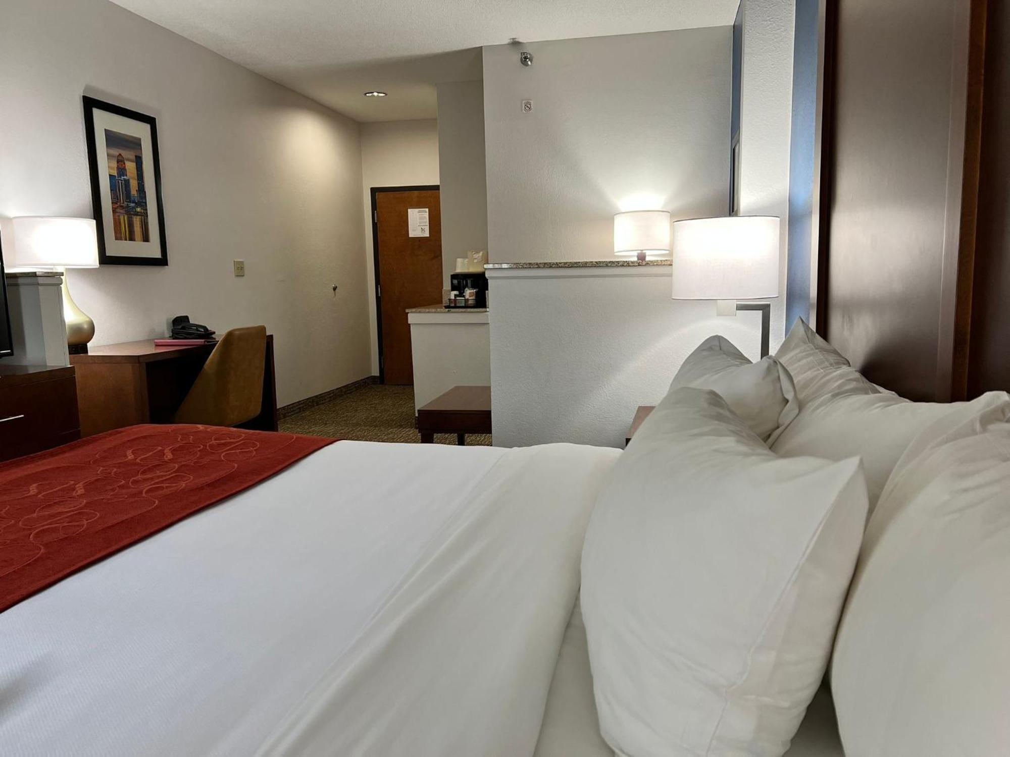 King Suite with Sofa Bed