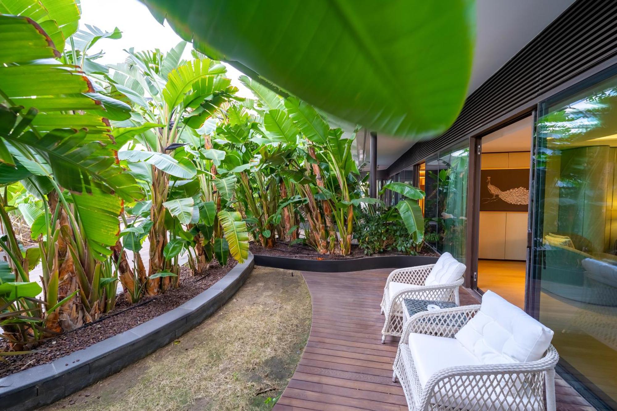 Reges Aqua Kamer met 1 Kingsize Bed en Balkon - Uitzicht op Aangrenzend Zwembad