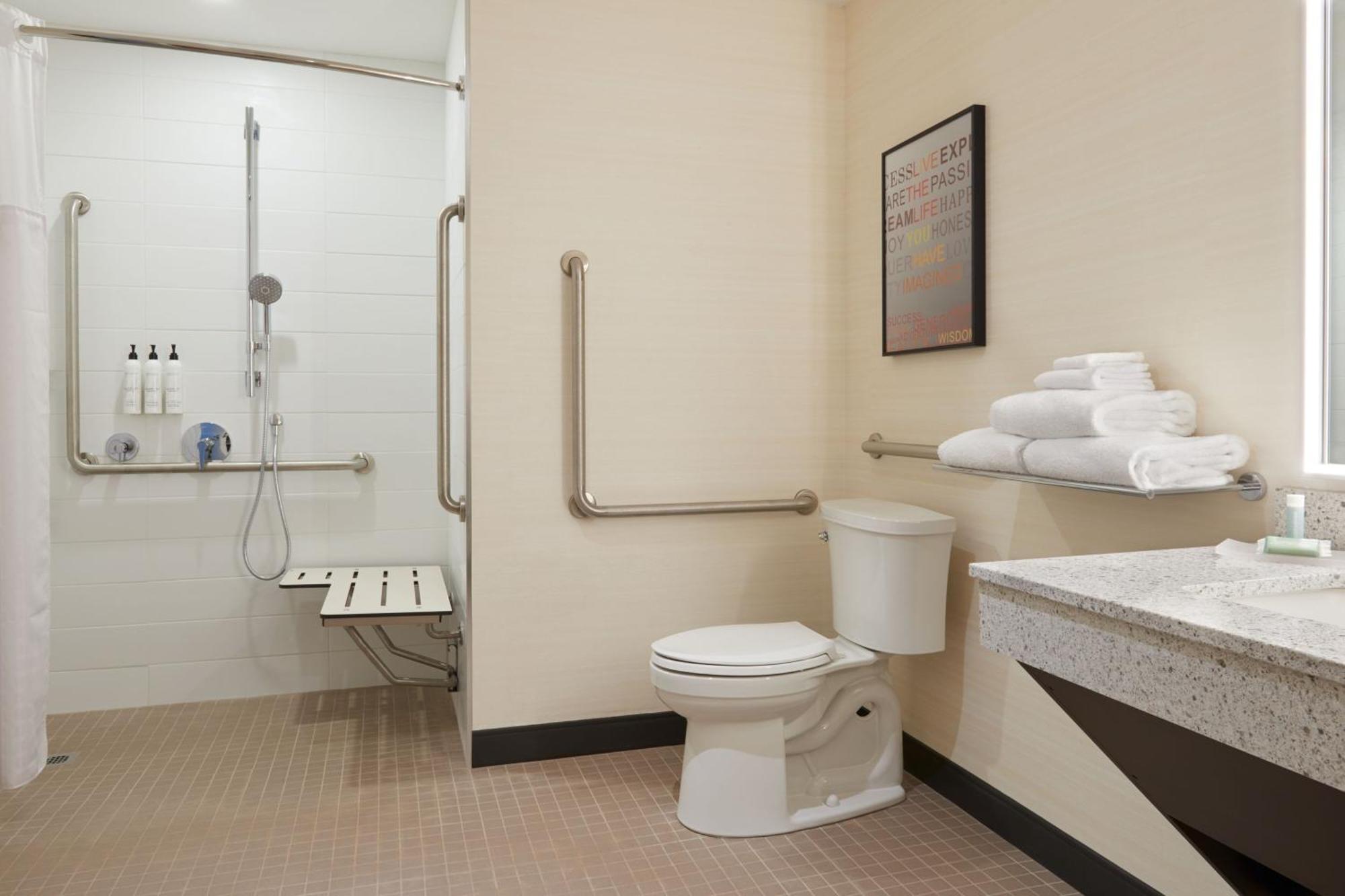 One-Bedroom King Suite with Sofa Bed
