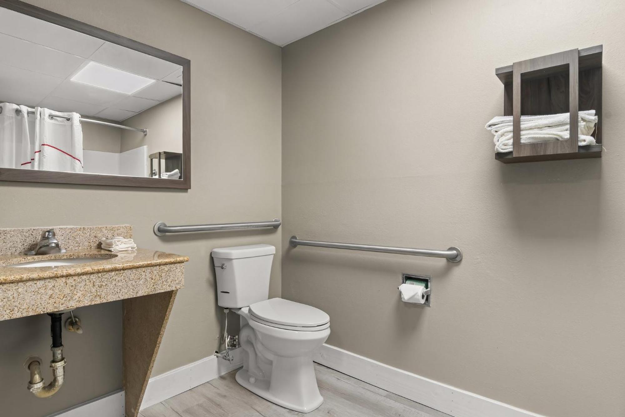 Deluxe King Room Disability Access Roll-In Shower Non-Smoking