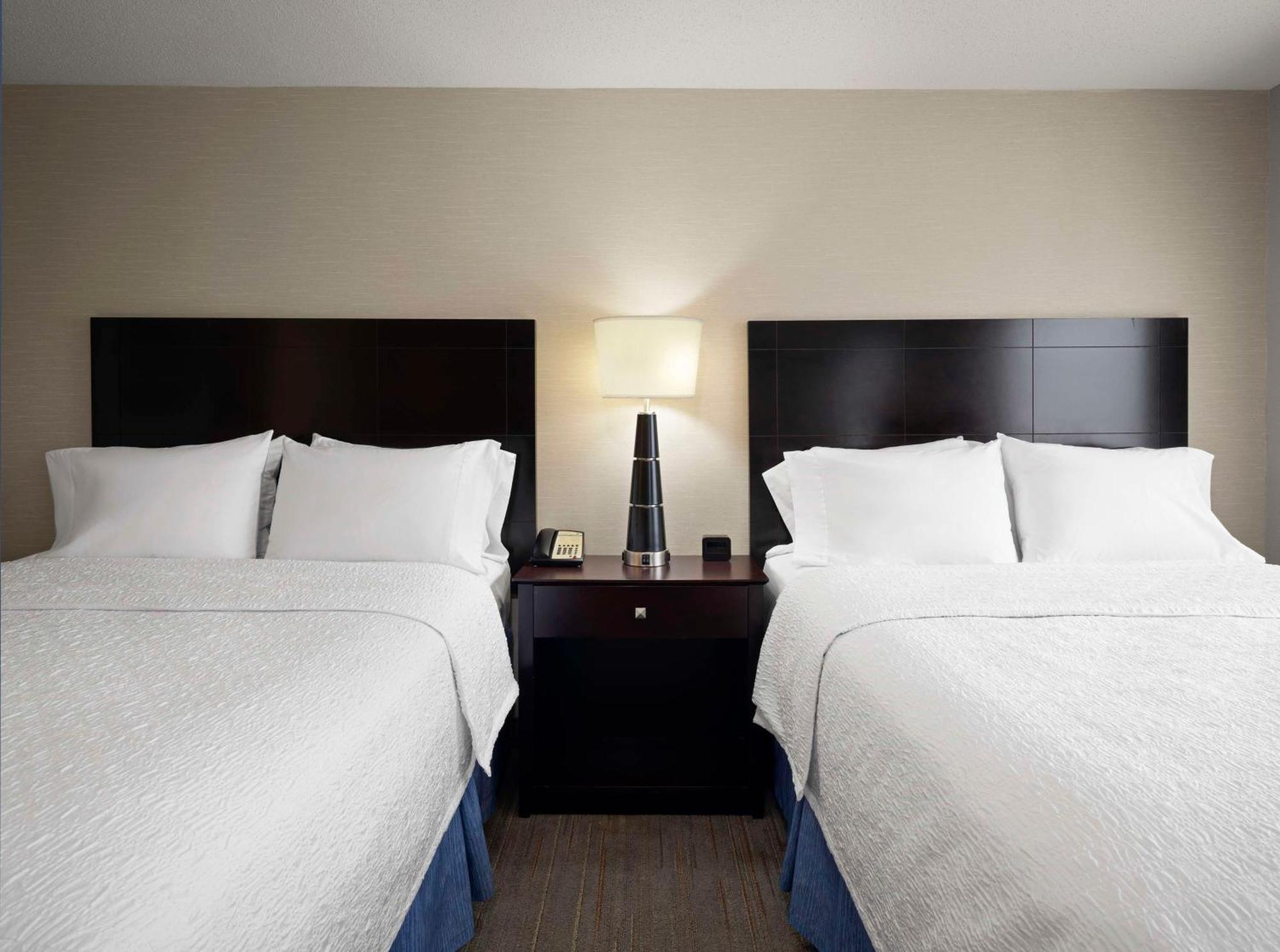 Queen Studio Suite with Two Queen Beds and Sofa Bed - Non-Smoking