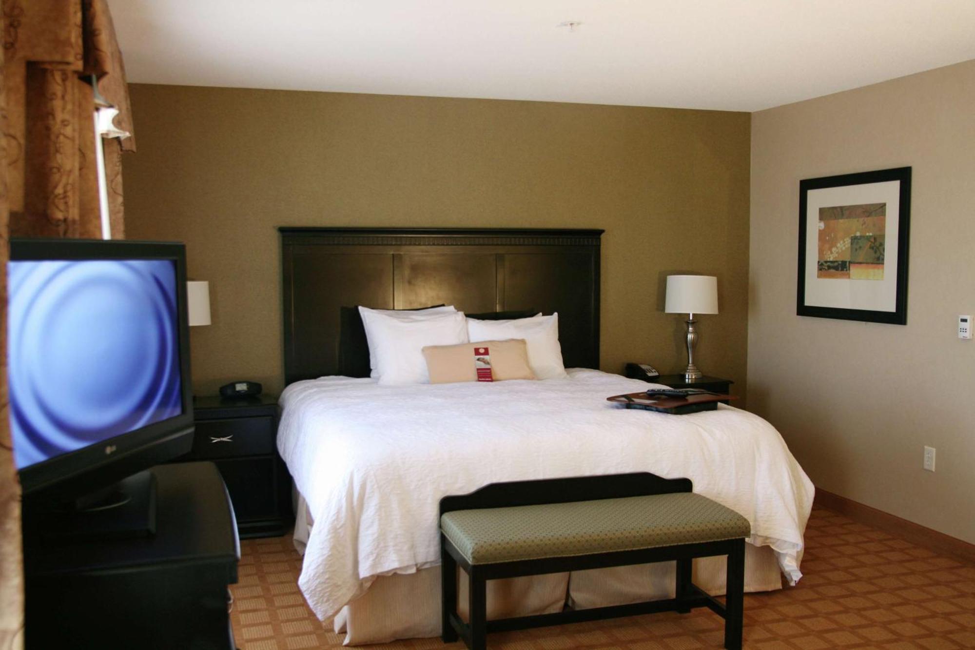 King Room with Sofa Bed - Hearing Accessible/Non-Smoking