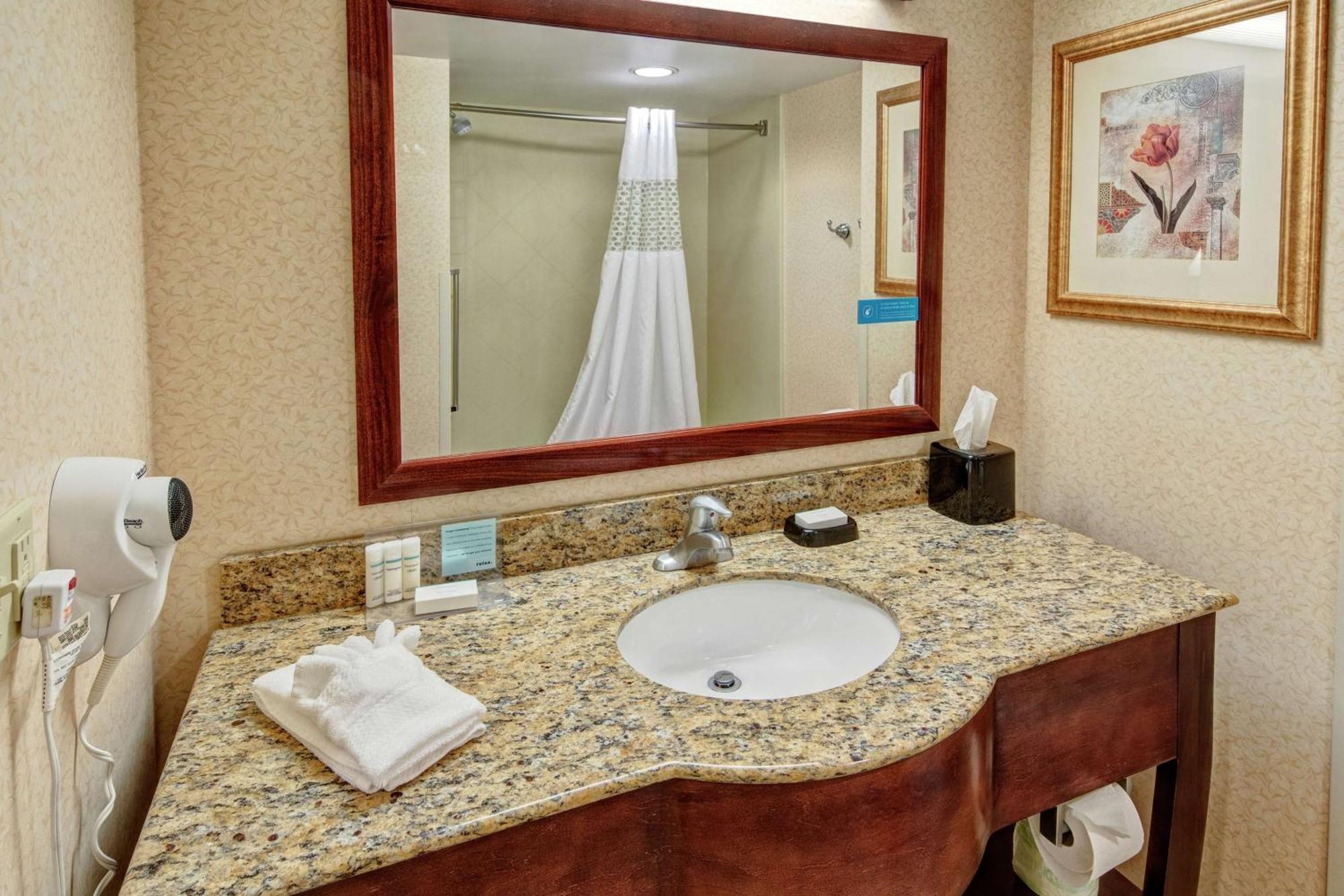 Queen Studio Suite with Sofa Bed - Non-Smoking