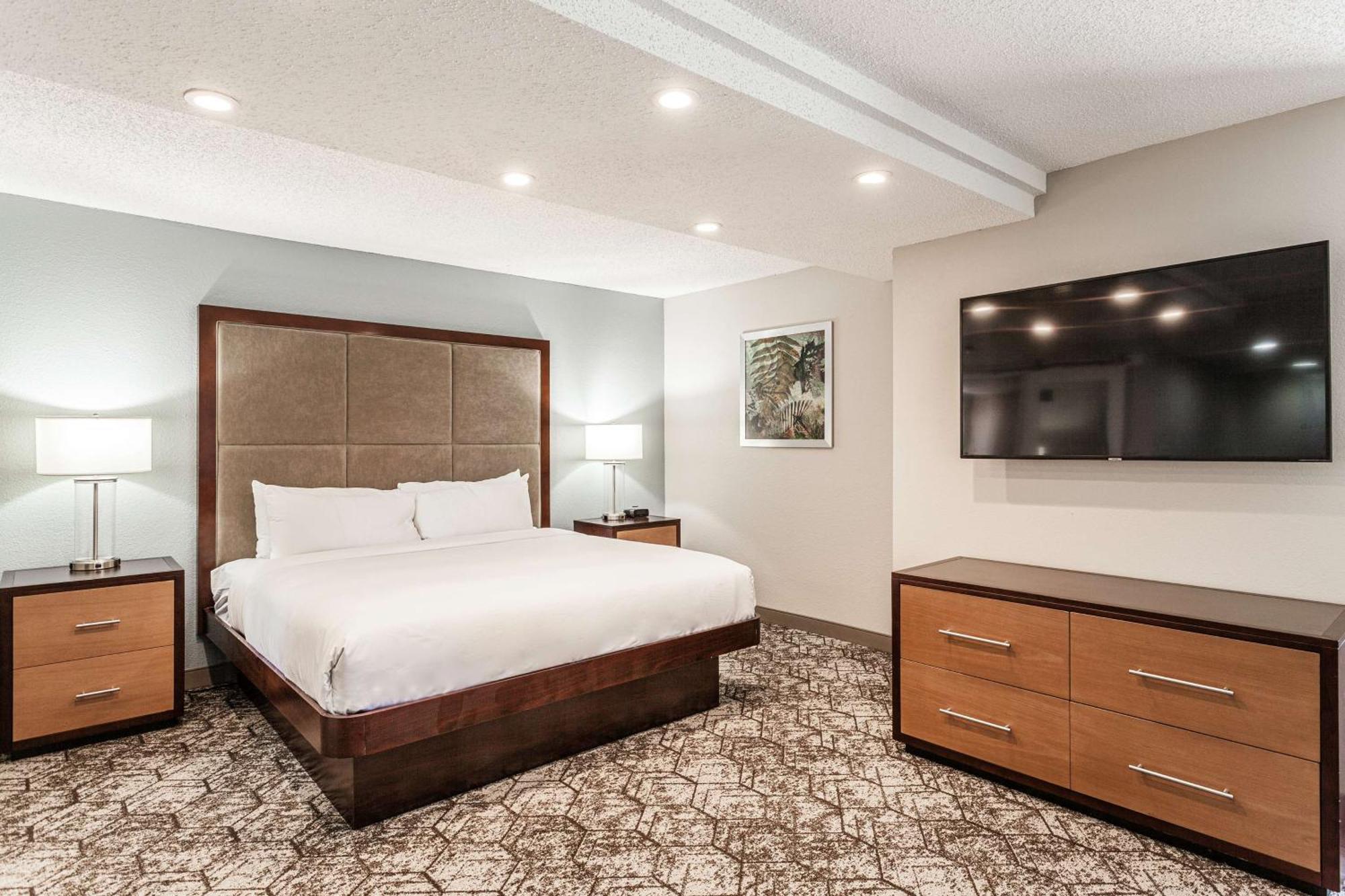 Junior Suite mit Kingsize-Bett und Schlafsofa - Nichtraucher