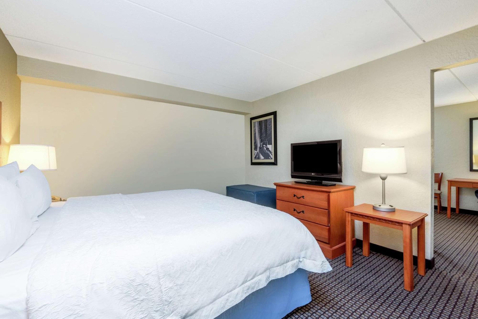 One-Bedroom King Suite with Sofa Bed - Non-Smoking,1706233883:JPEG