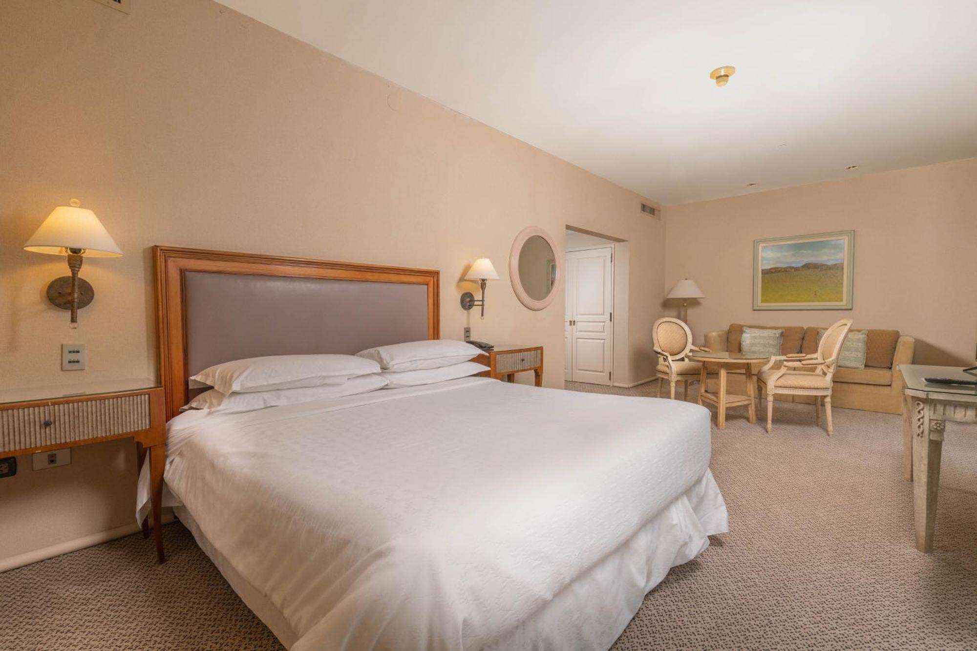 Suíte de 1 Quarto com Cama King-size e Vista da Cidade