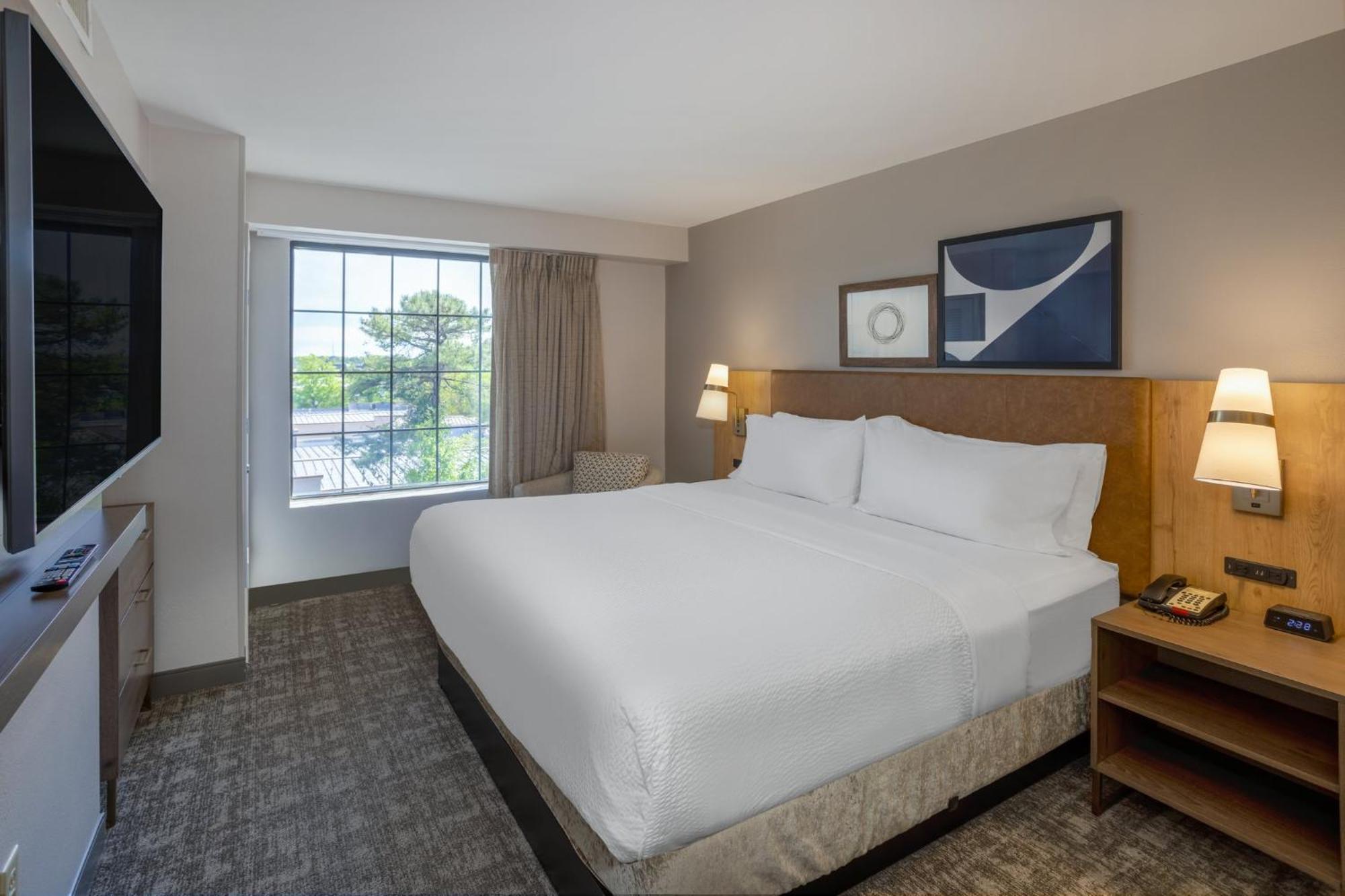 One-Bedroom King Suite