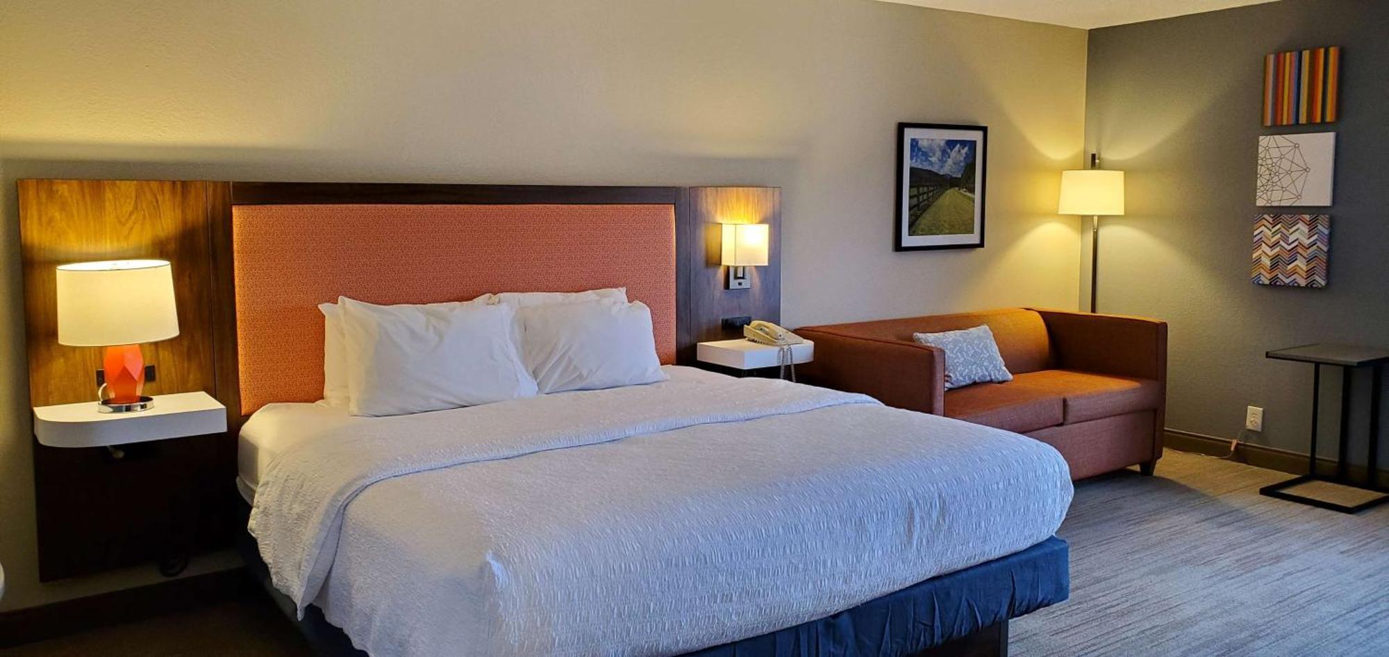 Deluxe King Room with Sofa Bed - Non-Smoking,1557894055:JPEG