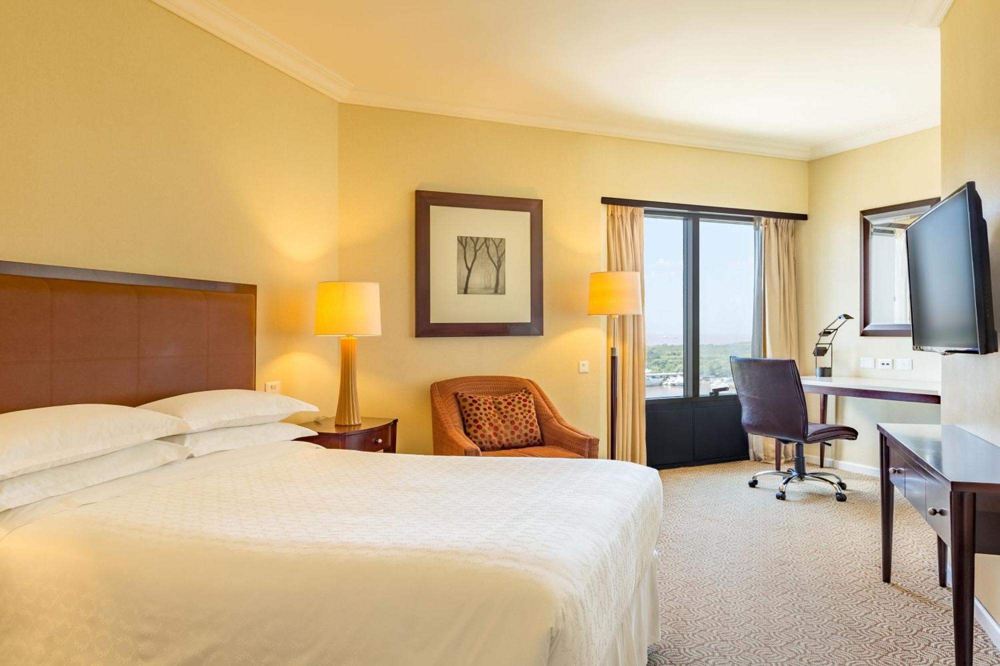 Single Room – Club Lounge Access/High Floor,1556750839:JPEG