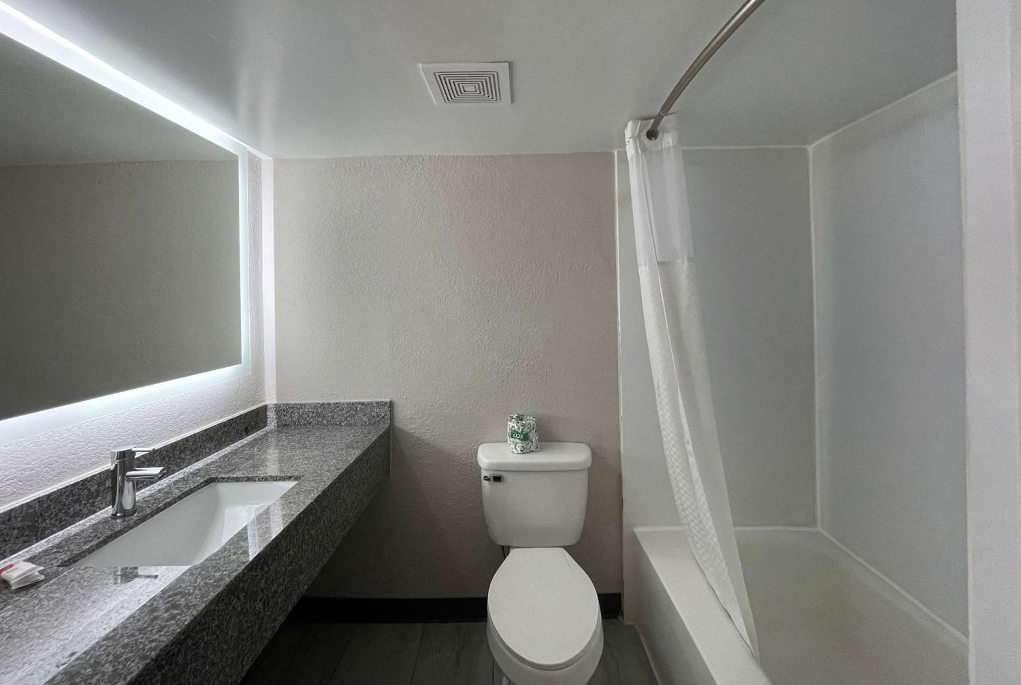King Studio Suite - Non-Smoking