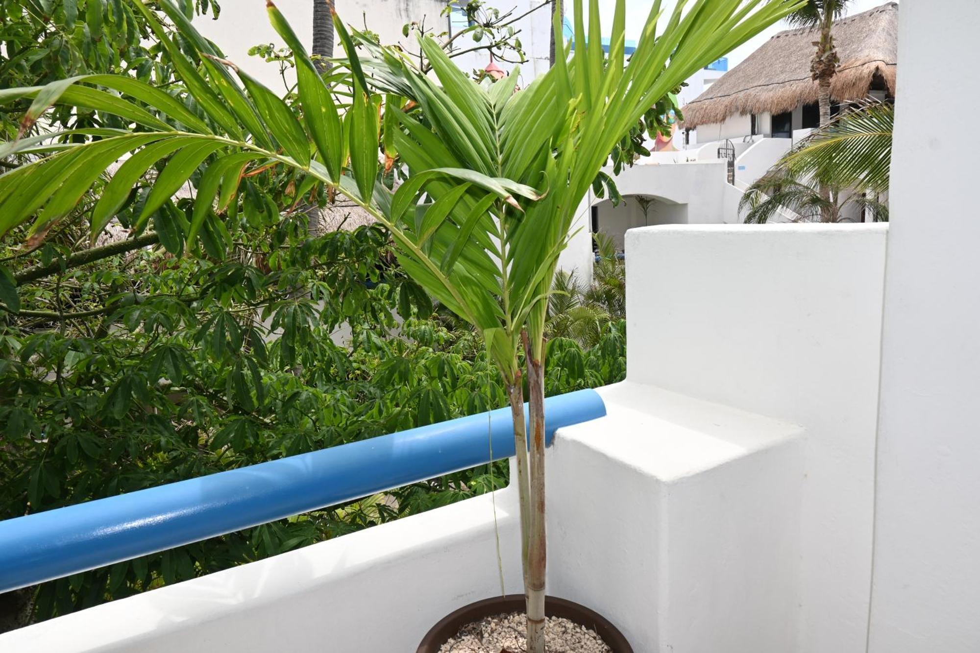 Camera Doppia con Letti Singoli con Balcone