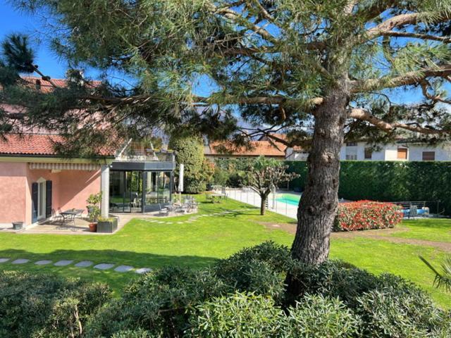 Deluxe Junior Suite