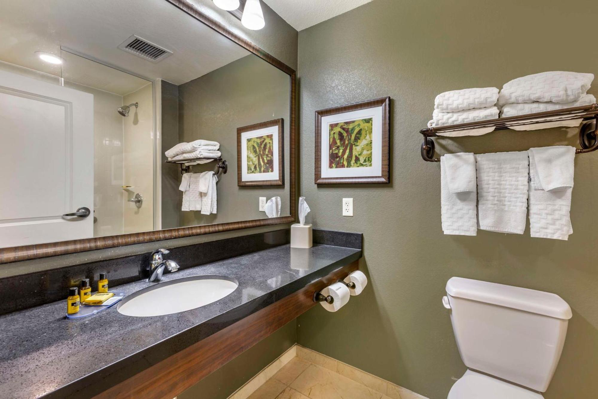 Queen Suite with Sofa Bed