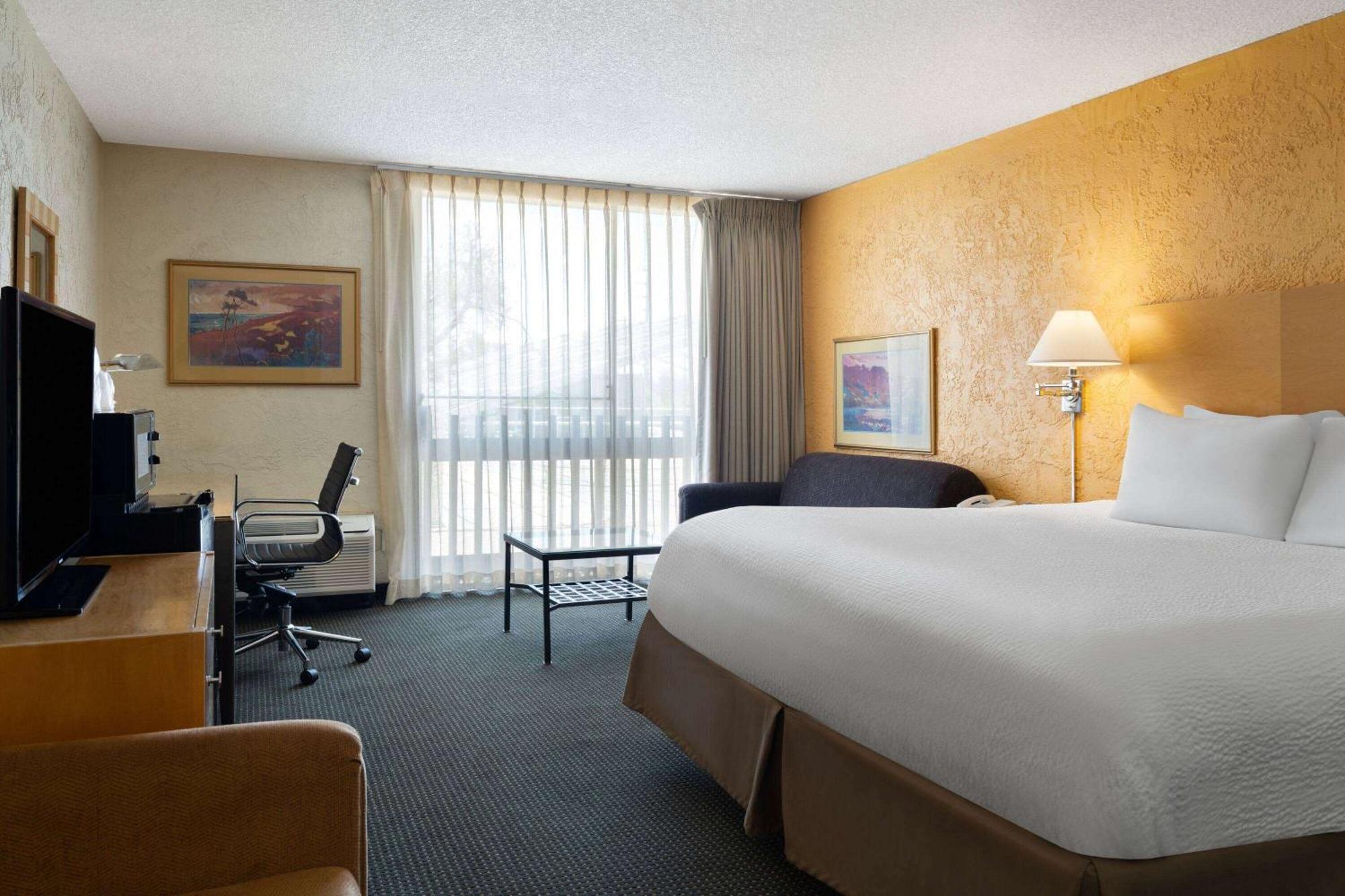 King Room - Non-Smoking