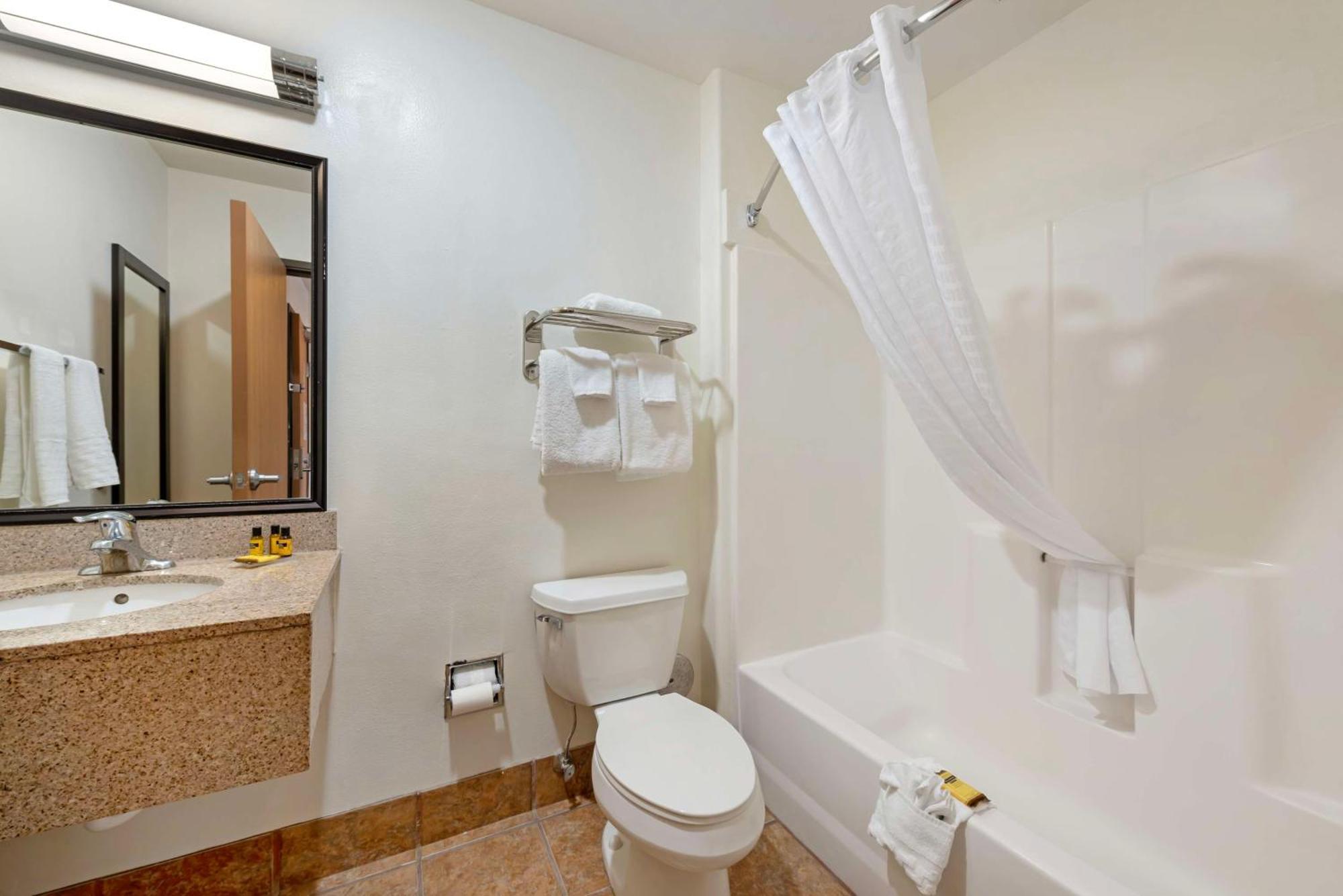 One-Bedroom King Suite with Sofa Bed and Wet Bar - Non-Smoking