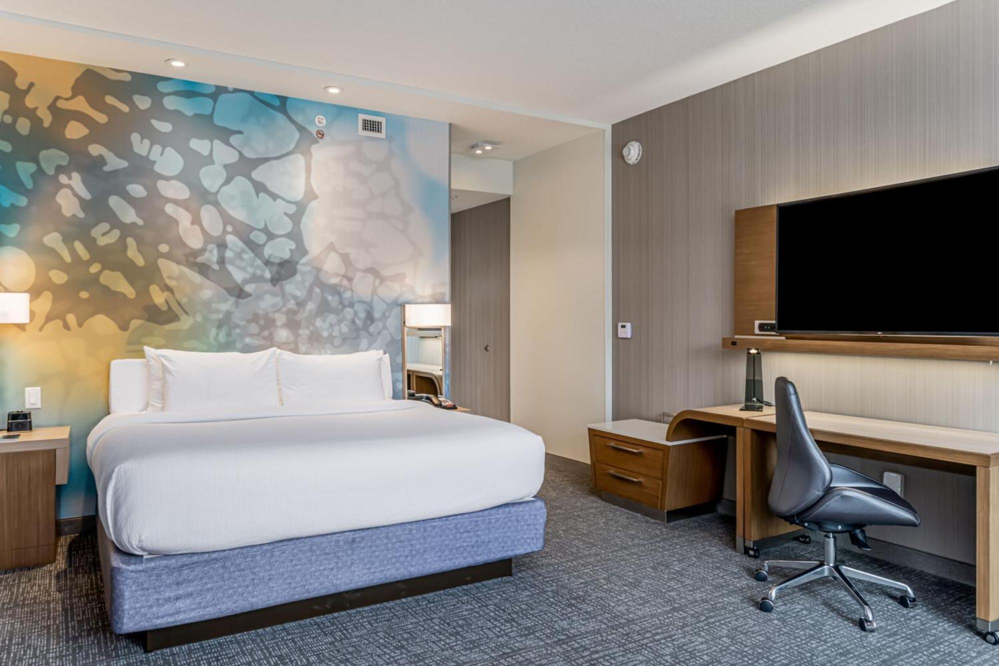 King Room with Roll-In Shower and Sofa Bed - Mobility Access