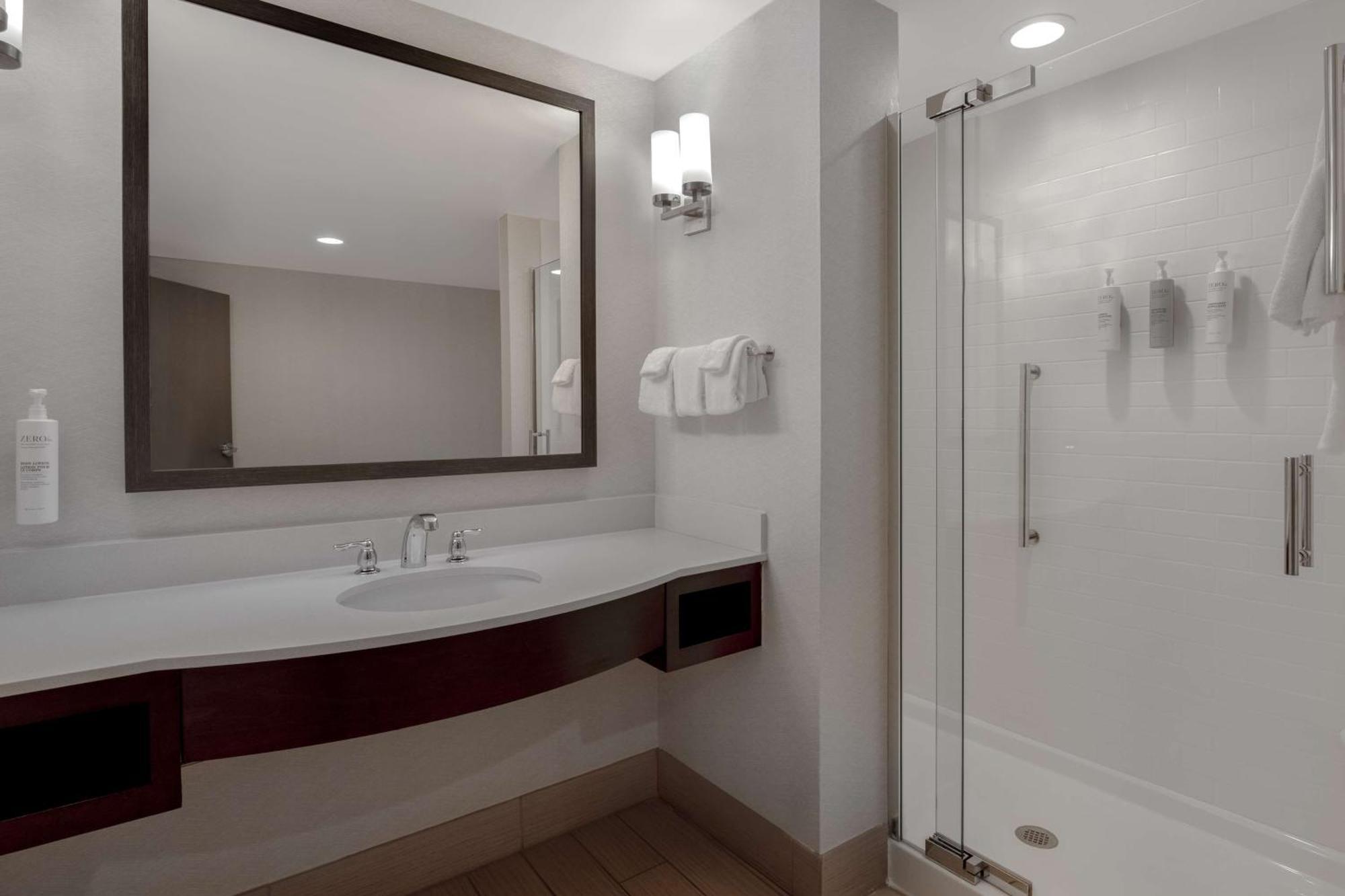 One-Bedroom King Suite with View