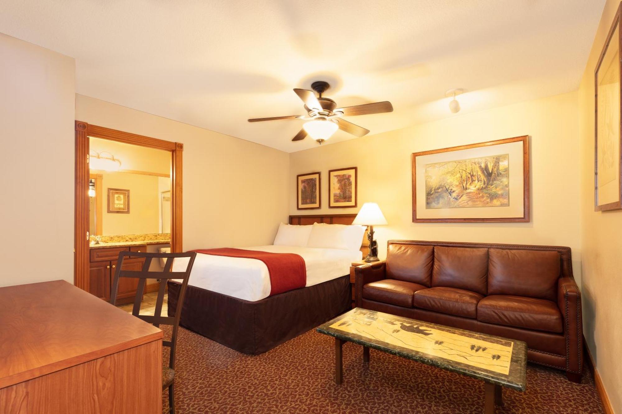 Studio Villa