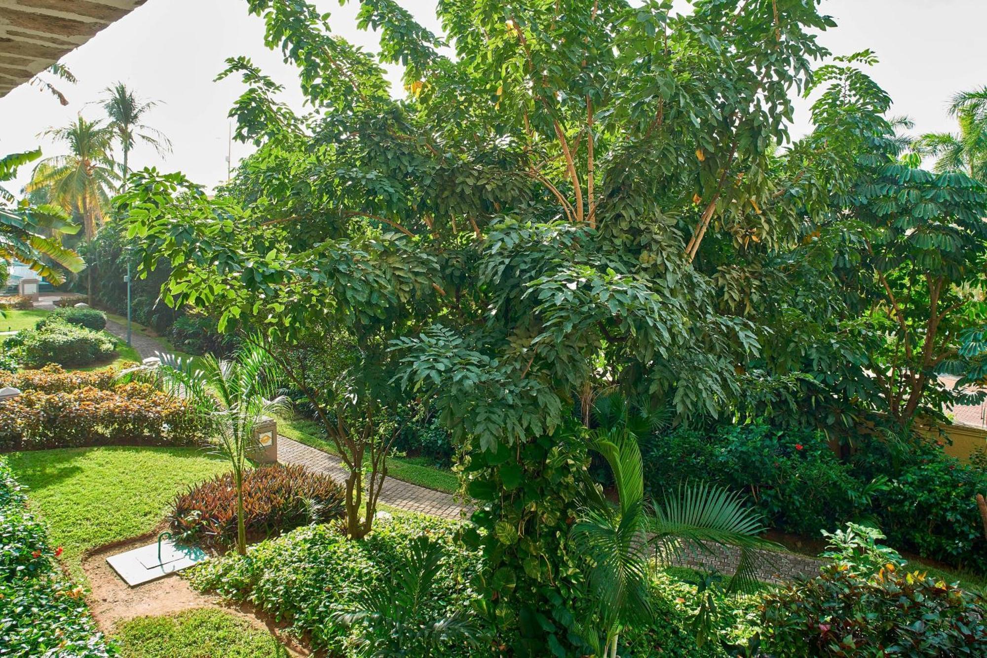 Garden View, Guest room, 1 king