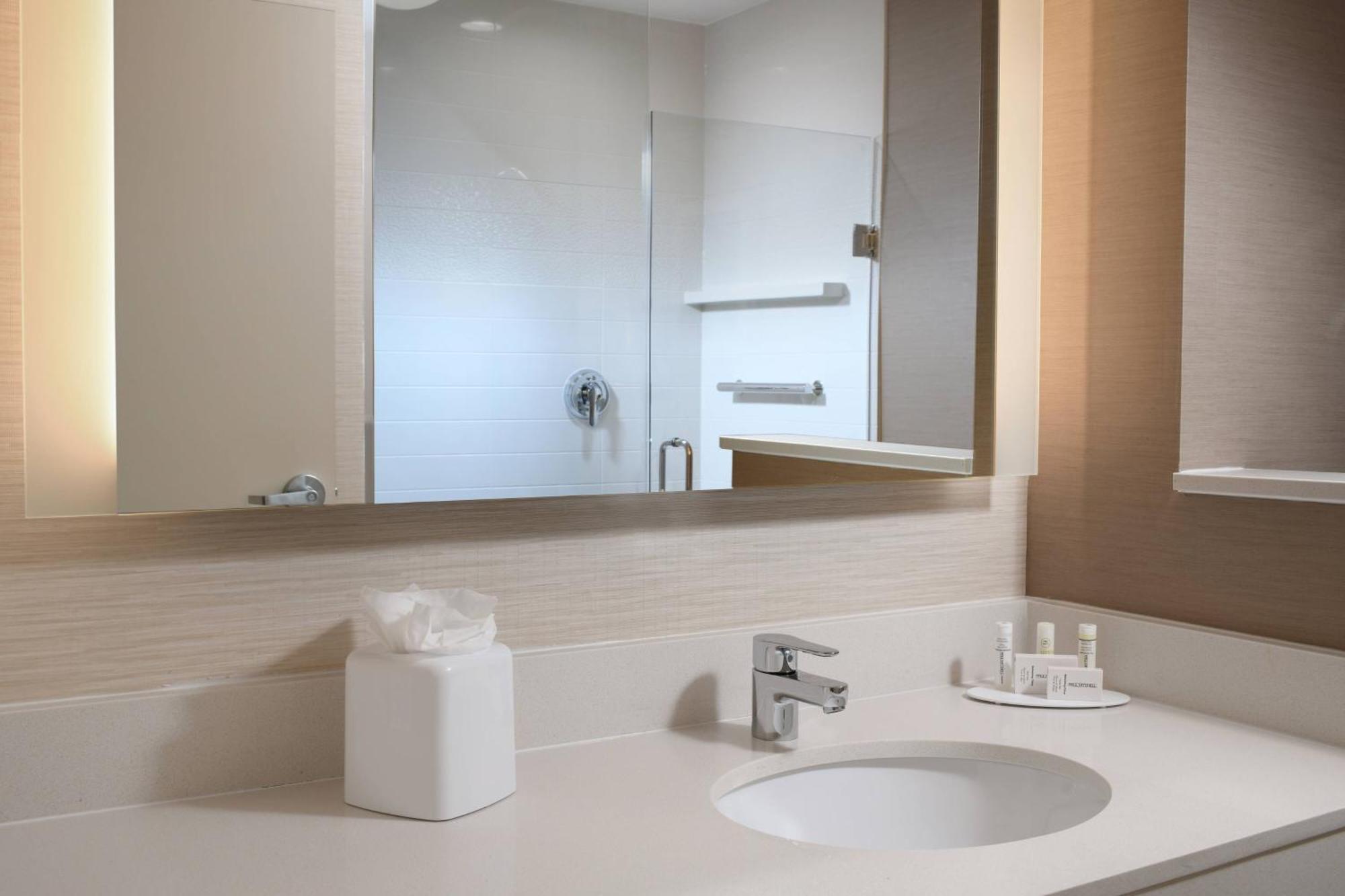 King Room with Bathtub and Transfer Shower - Mobility Access