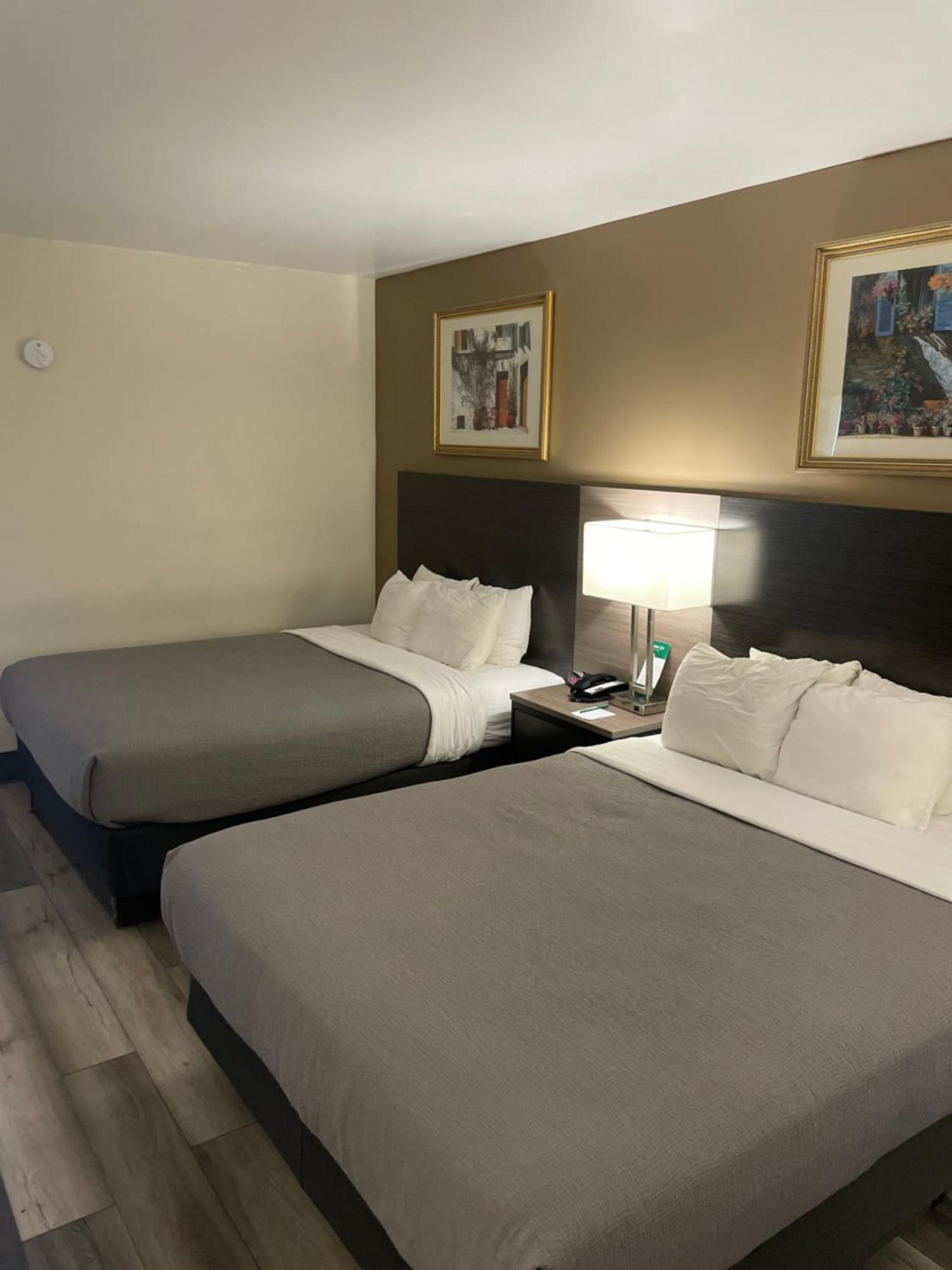 Queen Room with Two Queen Beds - Disability Access/Non-Smoking,1643144784:JPEG
