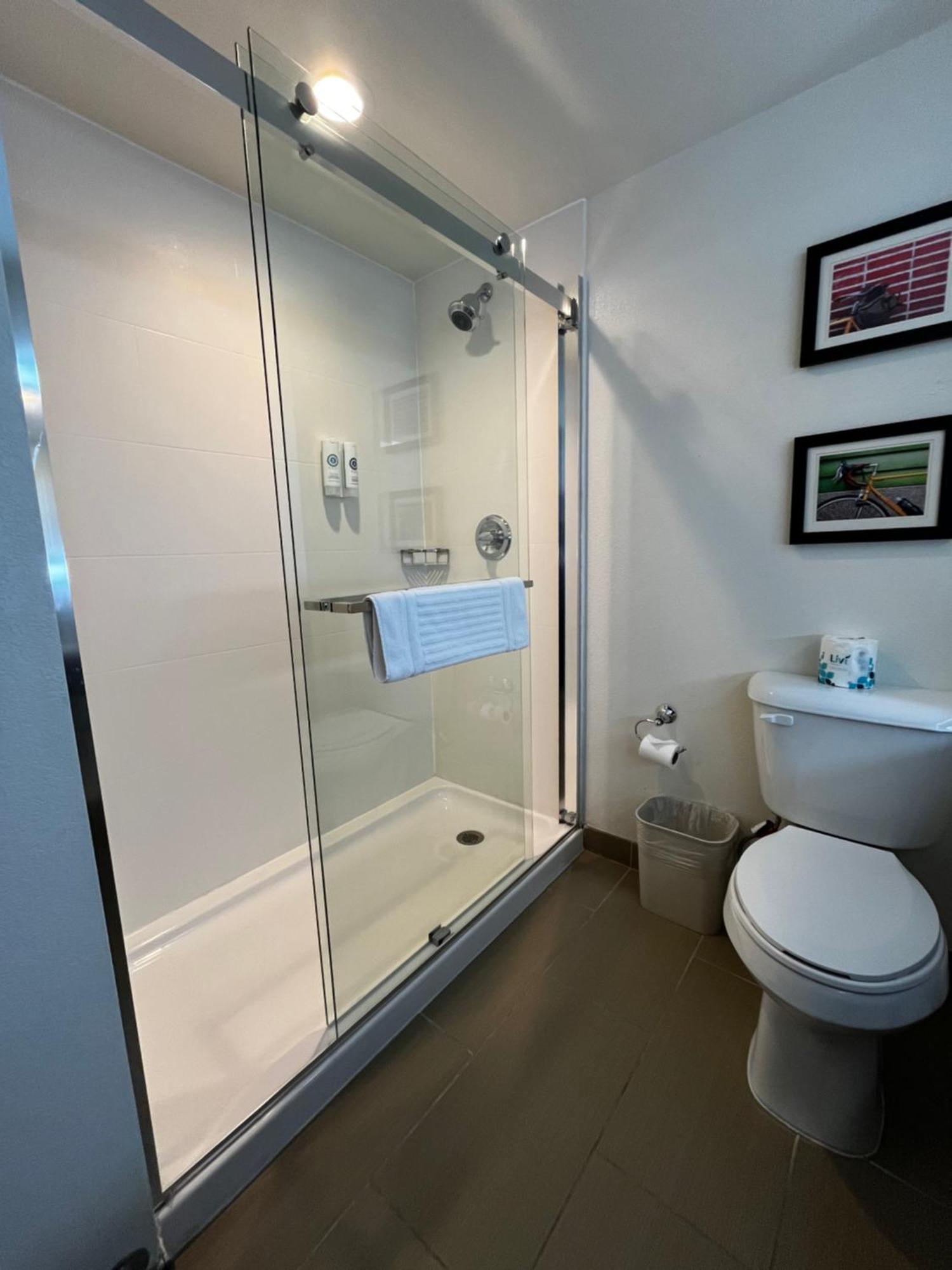 King Suite with Sofa Bed - Non-Smoking
