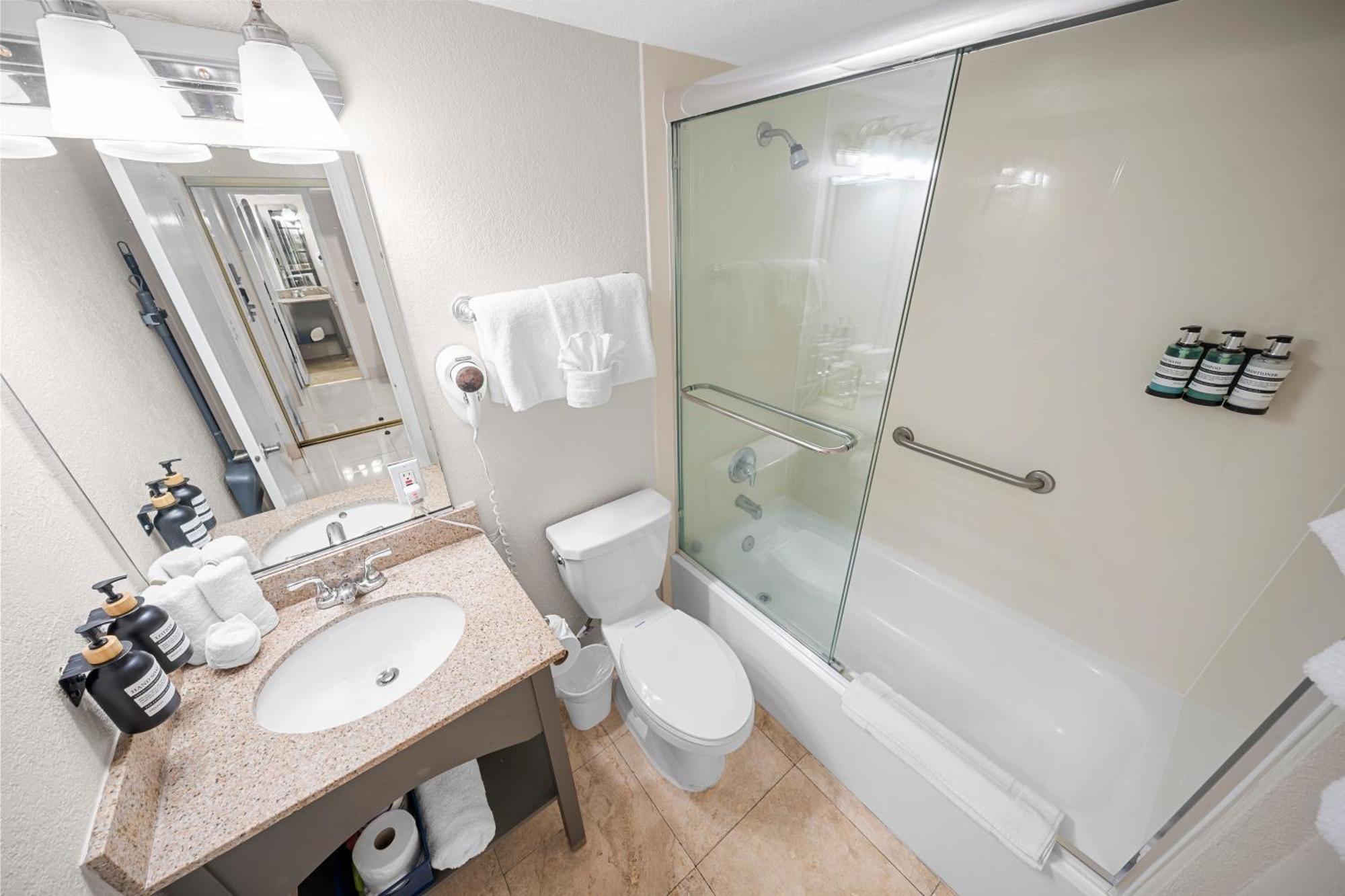 Junior Suite King with Kitchenette and Sofa Bed