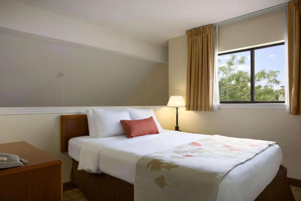 Queen Studio Suite - Mobility Access/Non-Smoking
