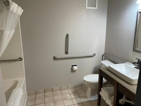 1 King Bed Accessible