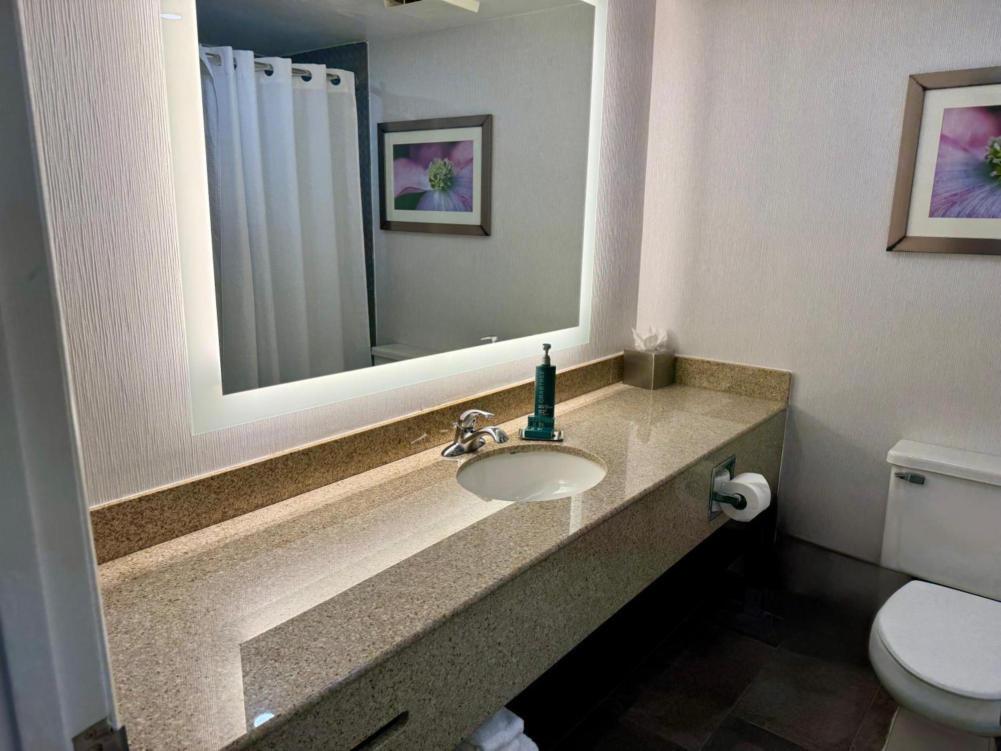 One-Bedroom Suite with Sofa Bed