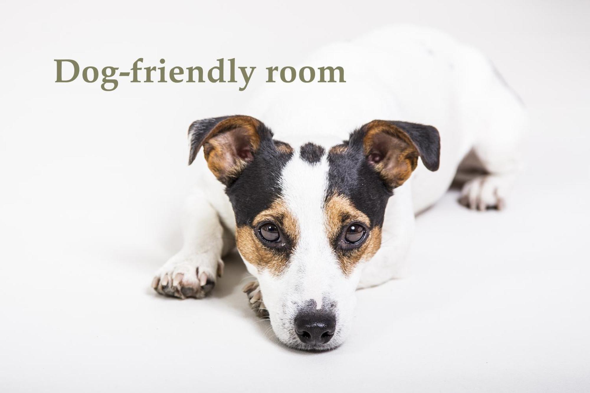 One-Bedroom House,1661666391:JPEG