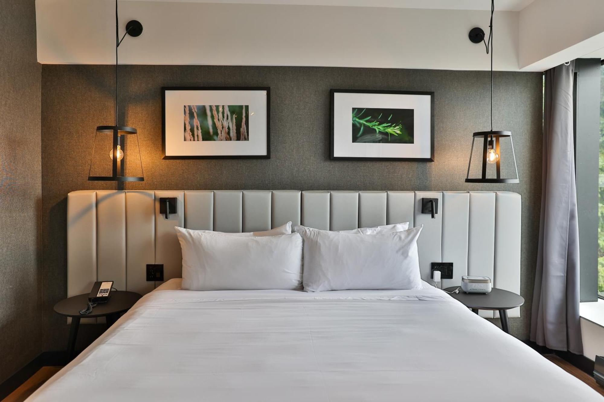 Junior Suite,1 King Bed and 1 Sofabed