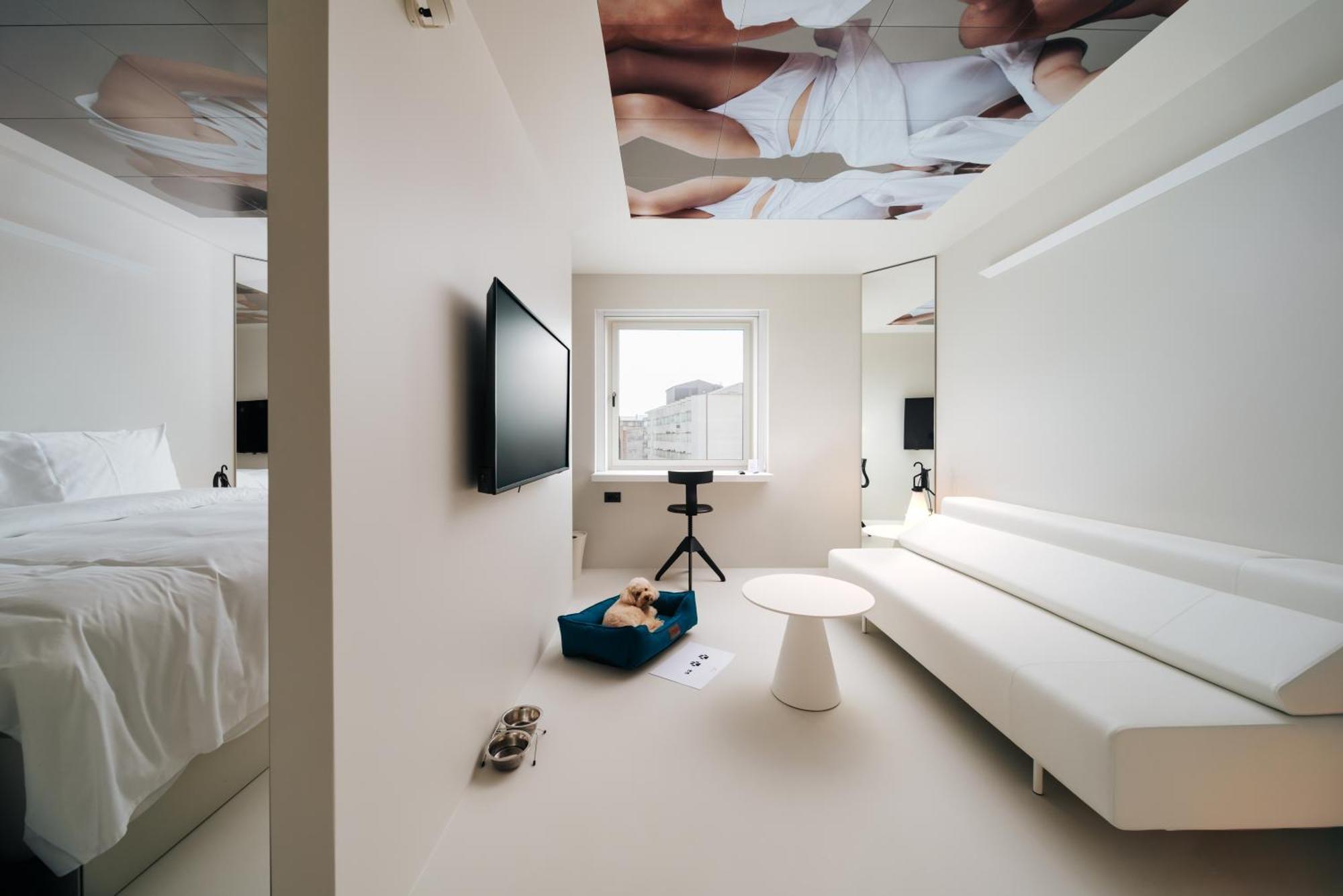 Stellar Suite Module