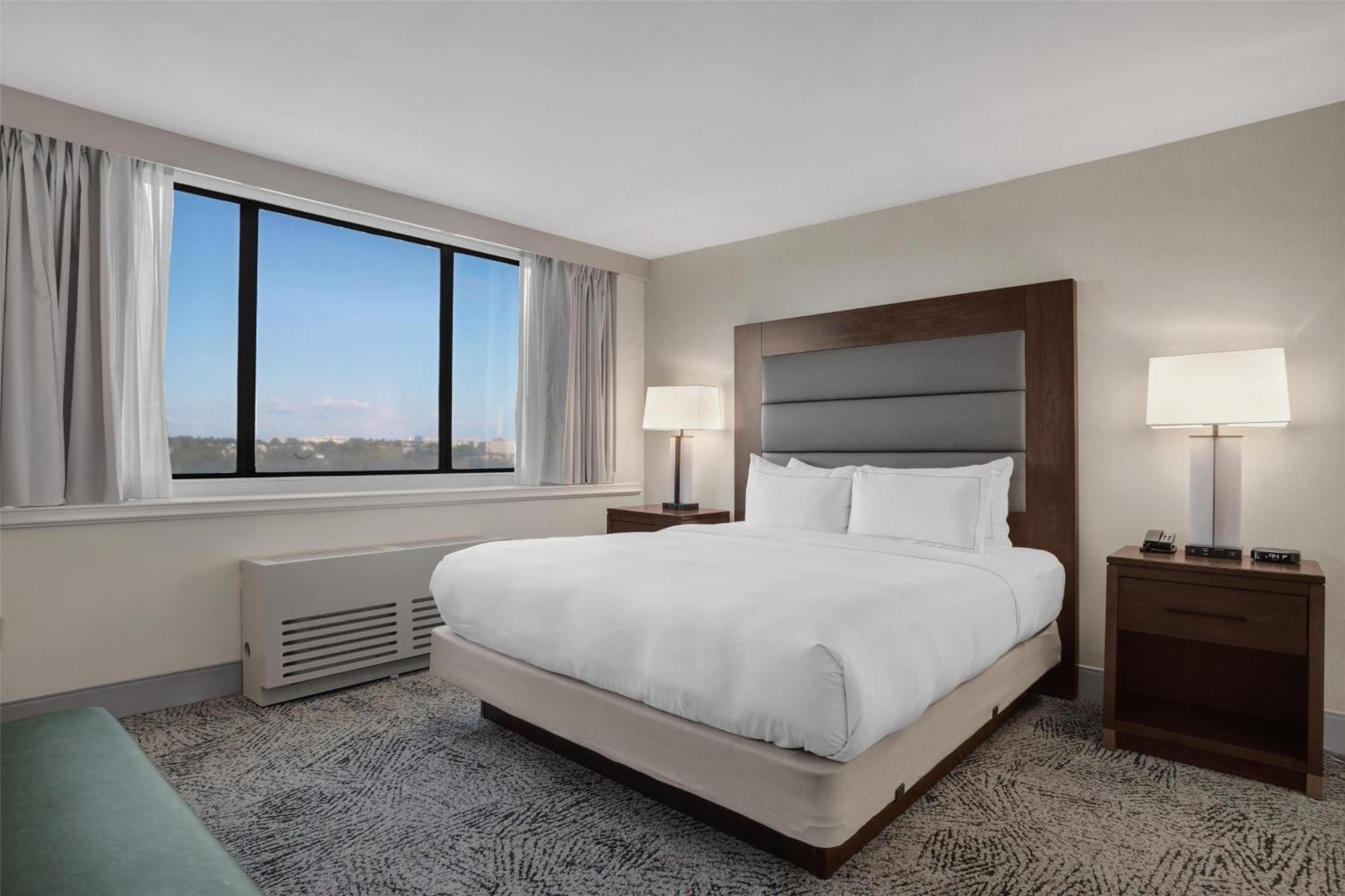 Junior King Suite with Sofa Bed