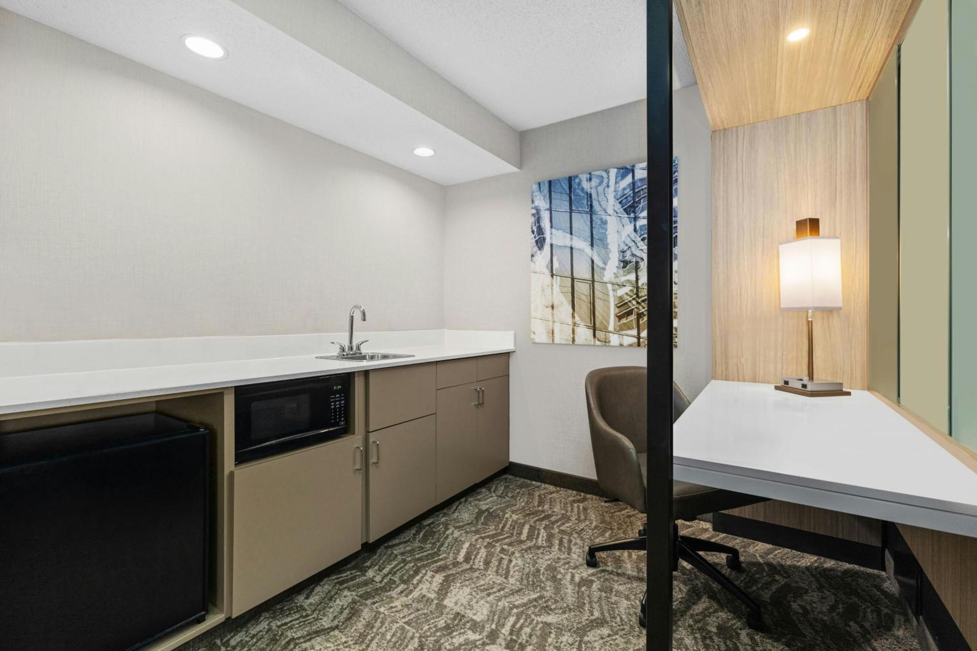 Hospitality Suite, 1 King, Sofa bed