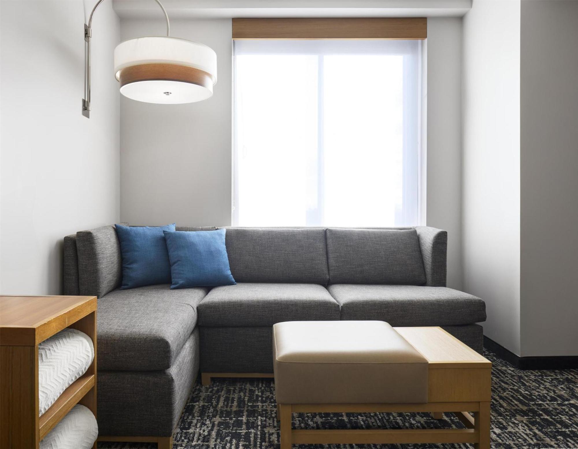 One-Bedroom King Suite with Sofa Bed